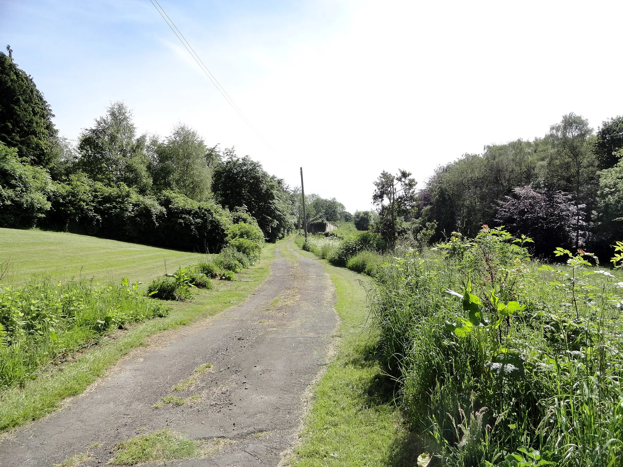 Photo showing: Entrance road at Low Friarside