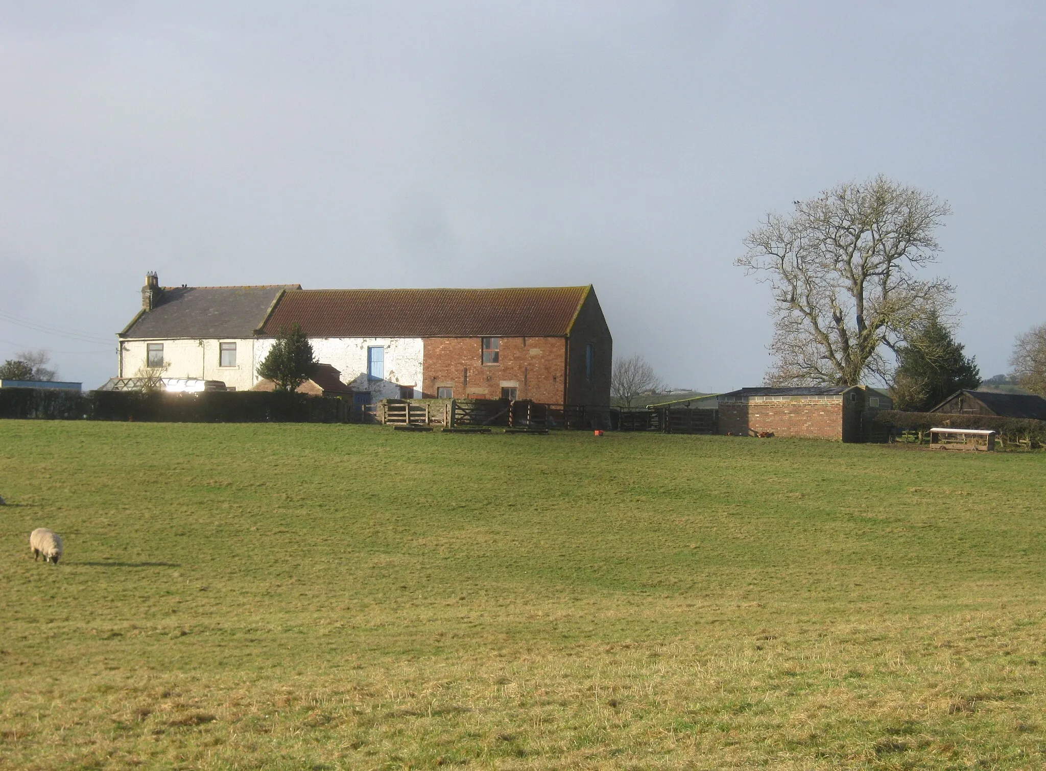Photo showing: Breckon Hill Farm at Butterknowle