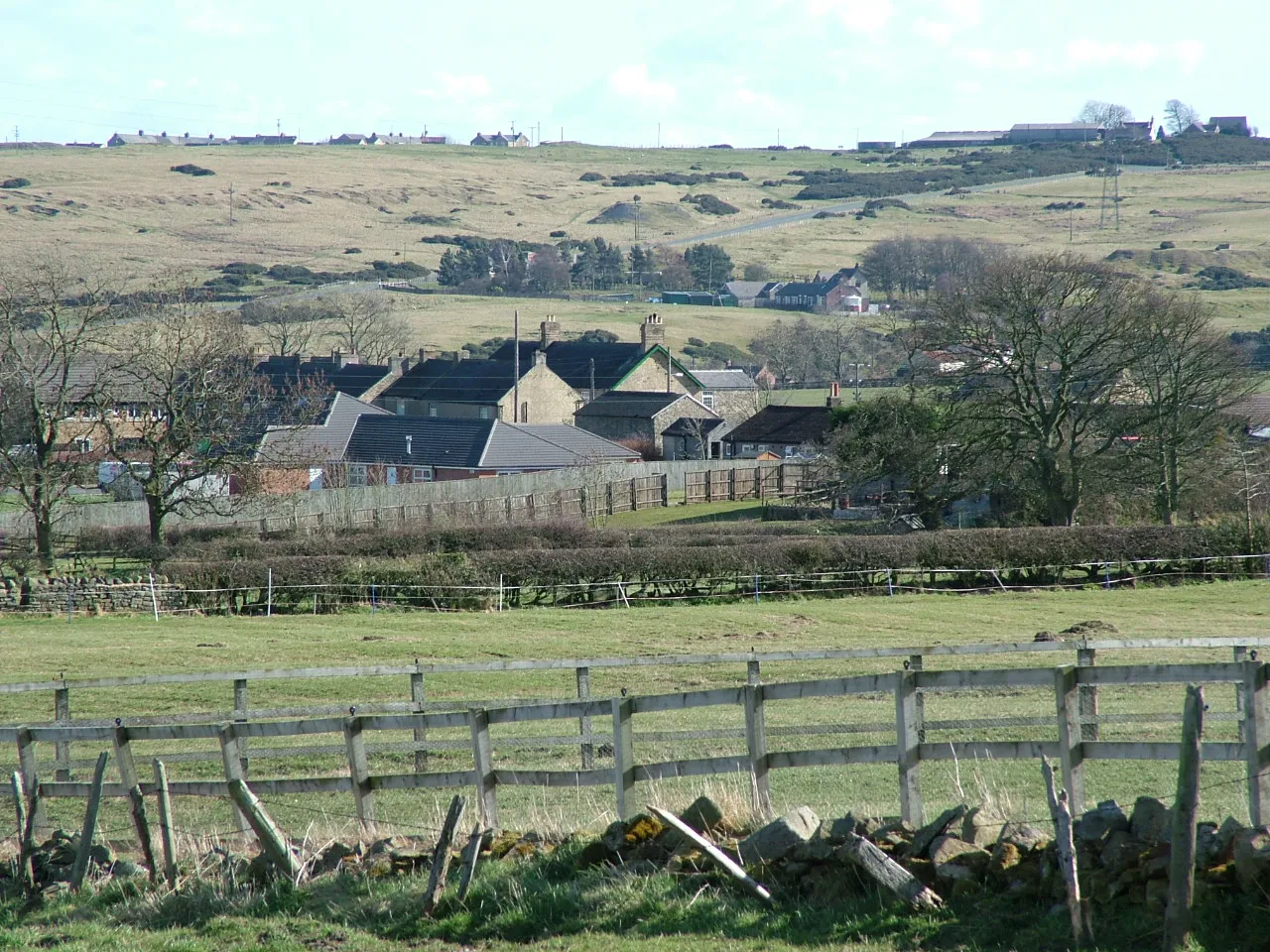 Photo showing: Looking across the fields to Butterknowle from the north-west