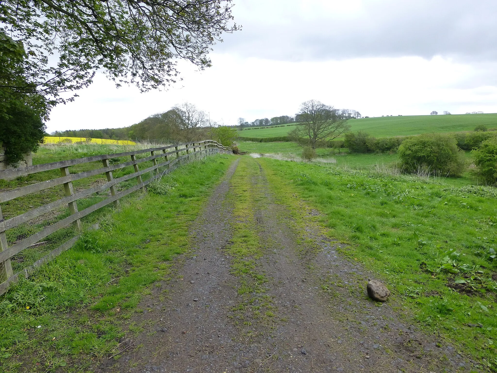 Photo showing: Public bridleway to Glororum