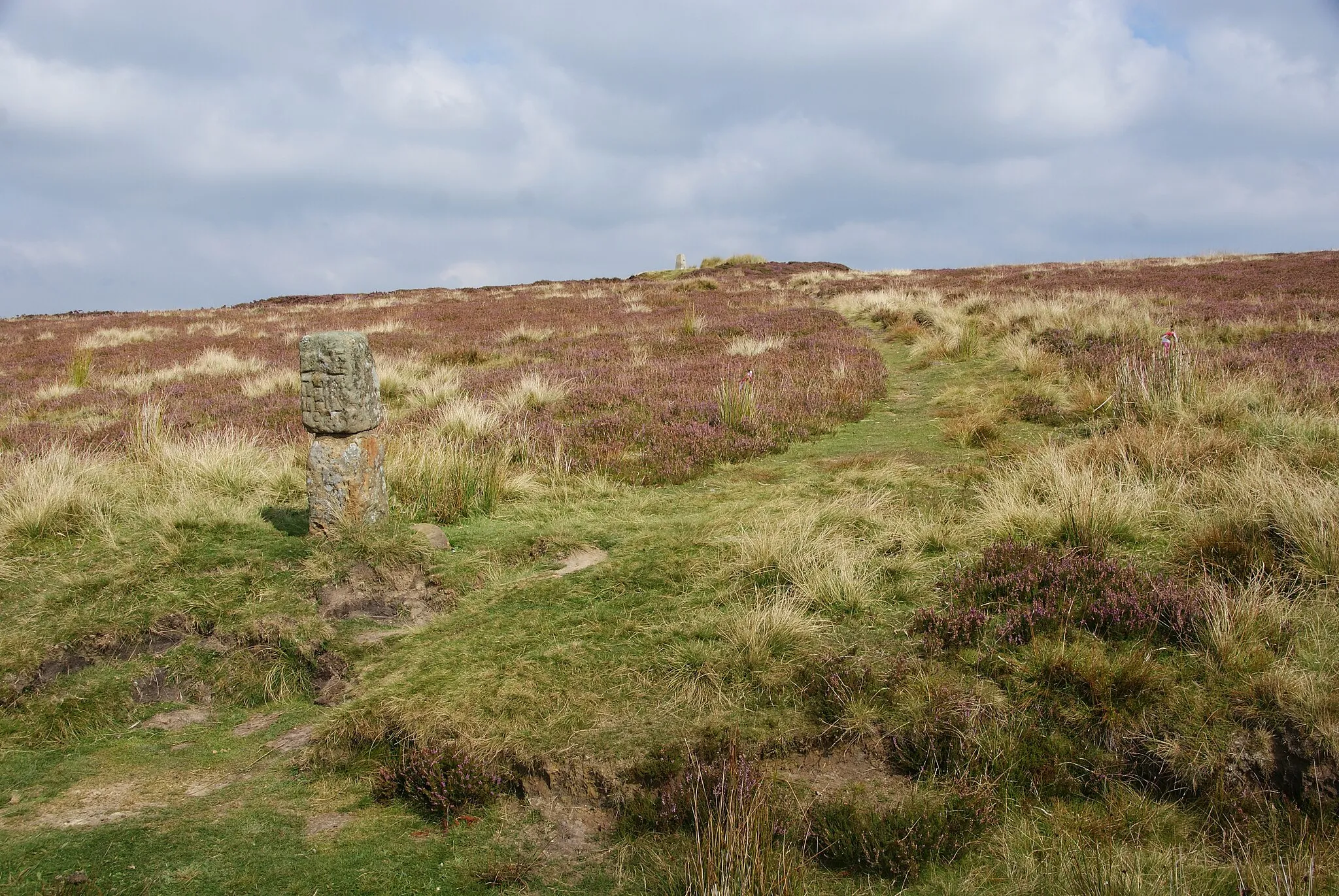 Photo showing: Boundary stone by Round Hill