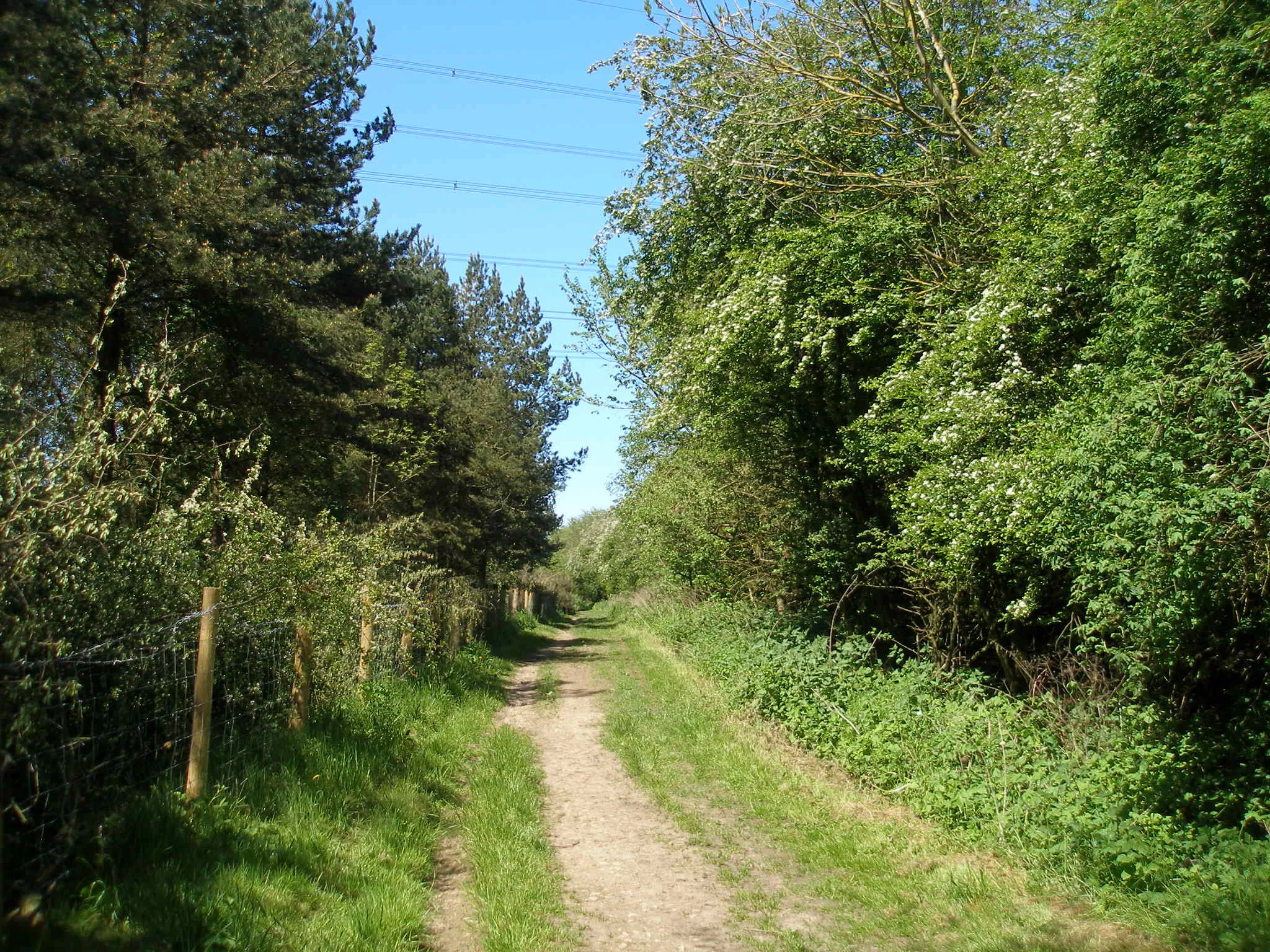 Photo showing: Bridleway 'The Hilly' towards Thornley