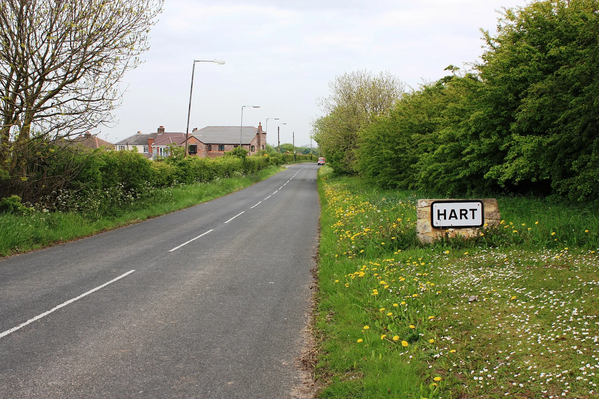 Photo showing: Approach road to Hart