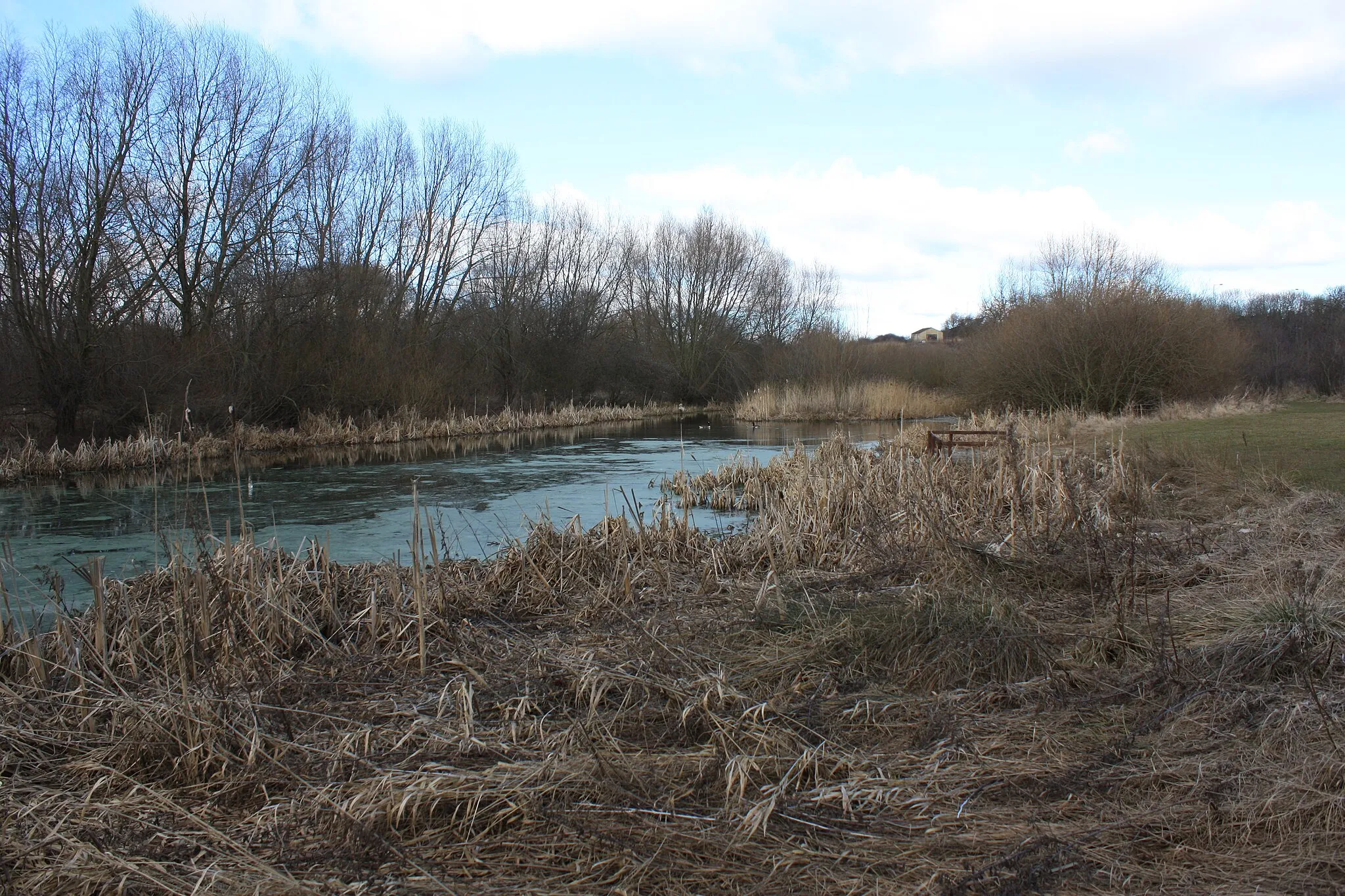 Photo showing: Pond near Visitors' Centre This photograph shows a view of the pond near the Visitors' Centre in Billingham Beck Valley Country Park. The picture was taken looking in a northerly direction towards Wolviston.