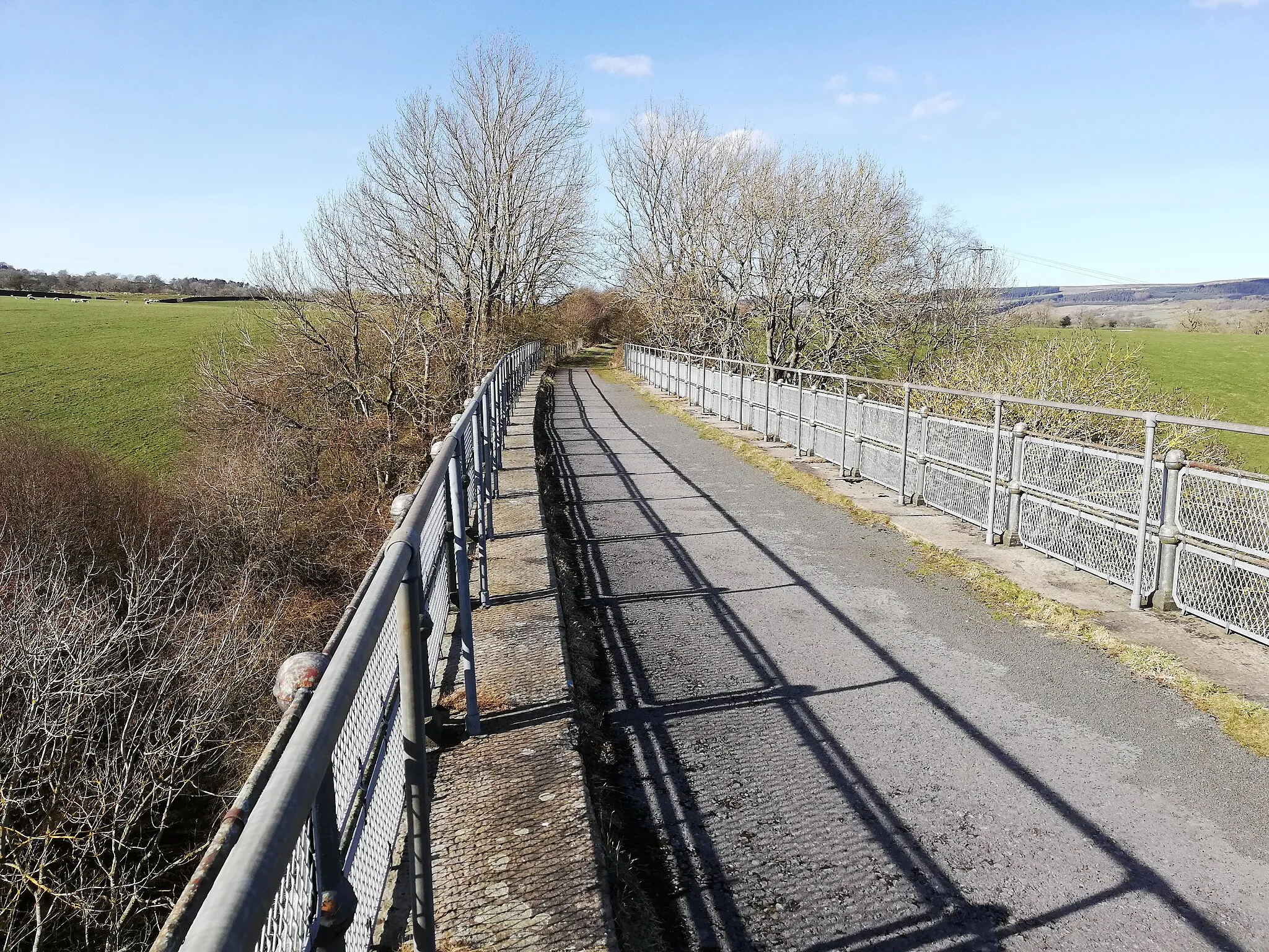 Photo showing: Balder Viaduct on the Tees Railway Path