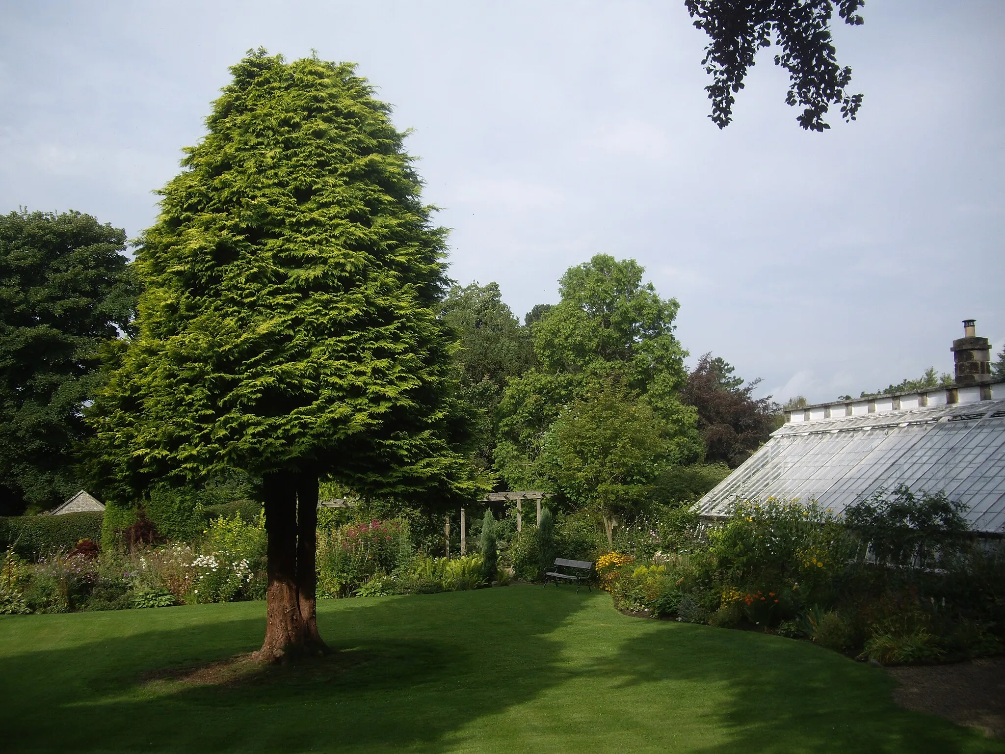 Photo showing: A lawn, ornamental tree and greenhouse