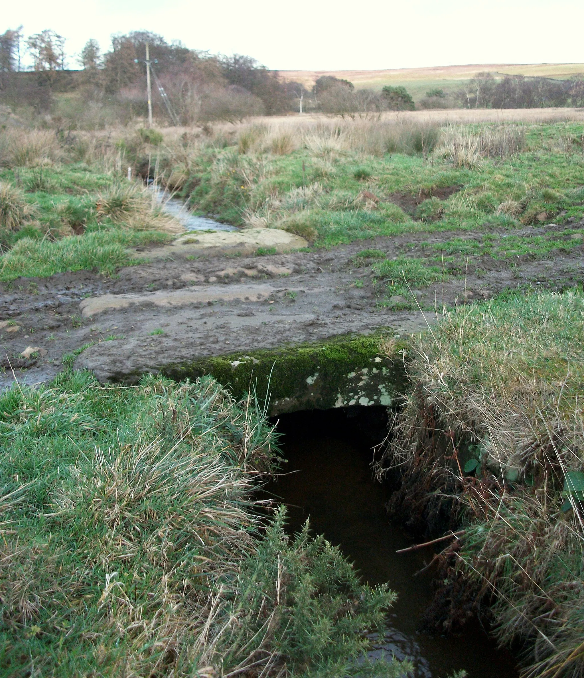 Photo showing: A stone clapper over the infant River Leven