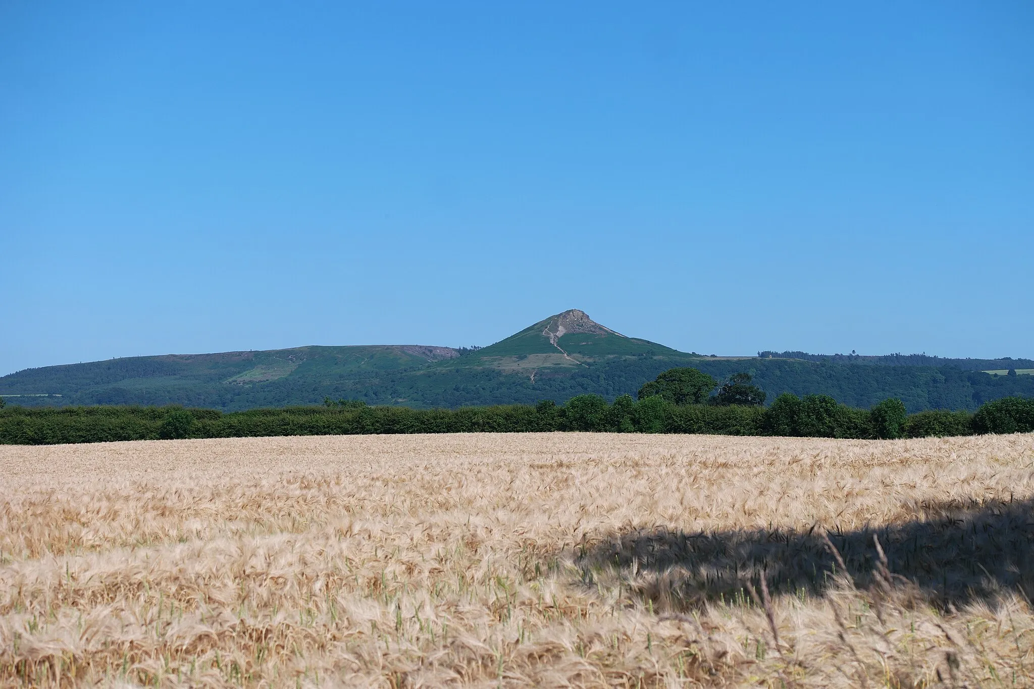 Photo showing: A closer look at Roseberry Topping