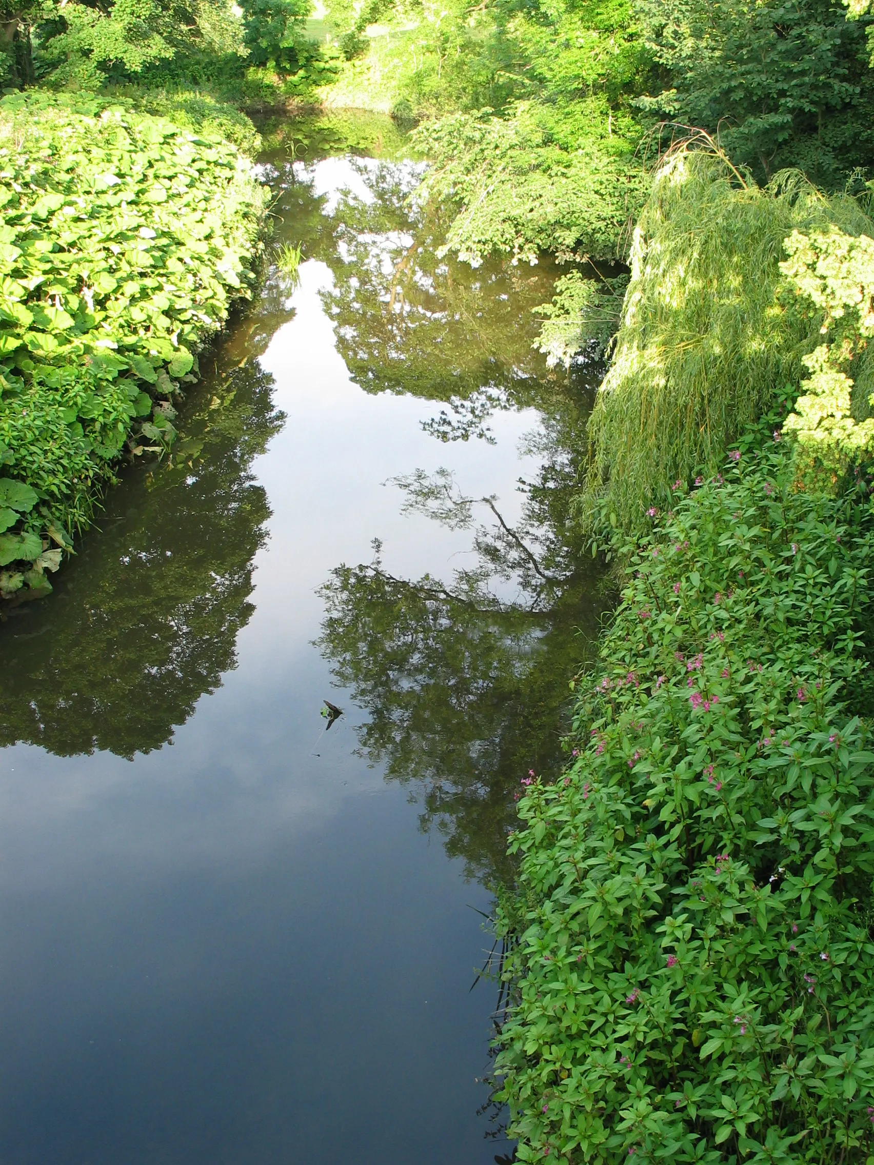 Photo showing: River Browney at Sunderland Bridge, near Durham City, County Durham taken by Peter Hughes on Saturday 30 June 2007