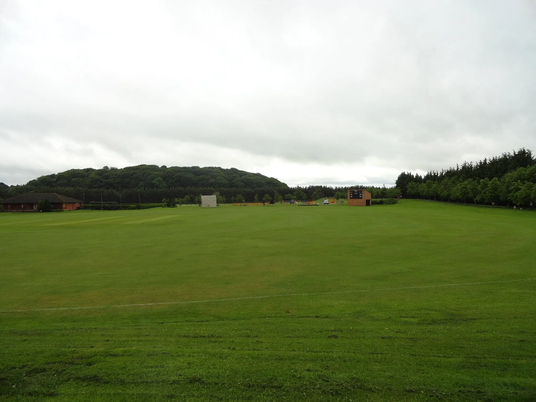 Photo showing: Cricket pitch, Ferryhill Station