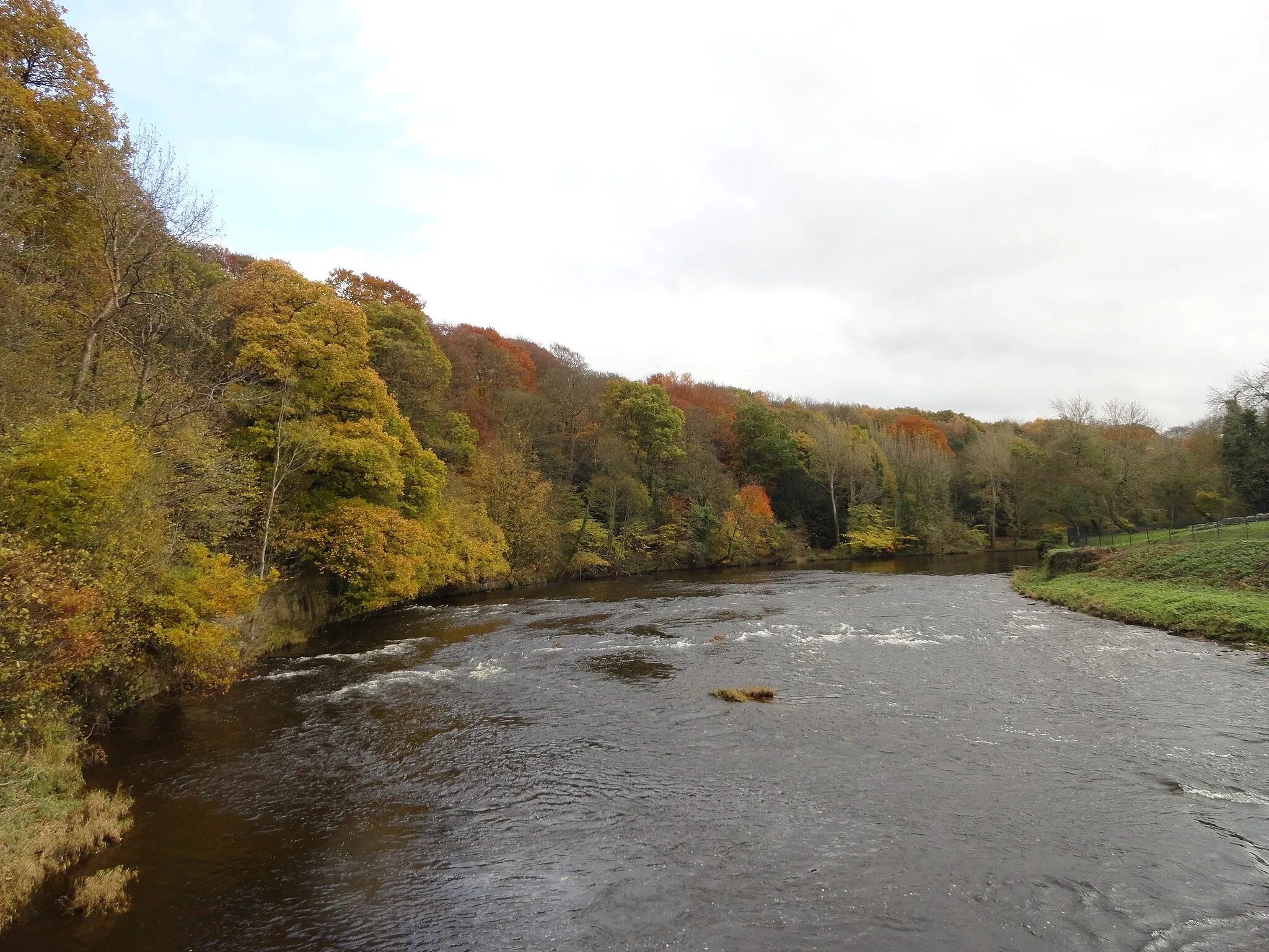 Photo showing: Banks of the River Wear at Finchale Priory