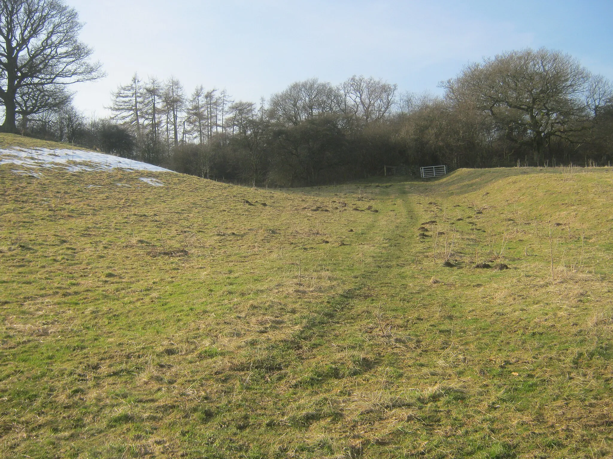 Photo showing: Bridleway to enter the eastern side of Hag Howl Wood