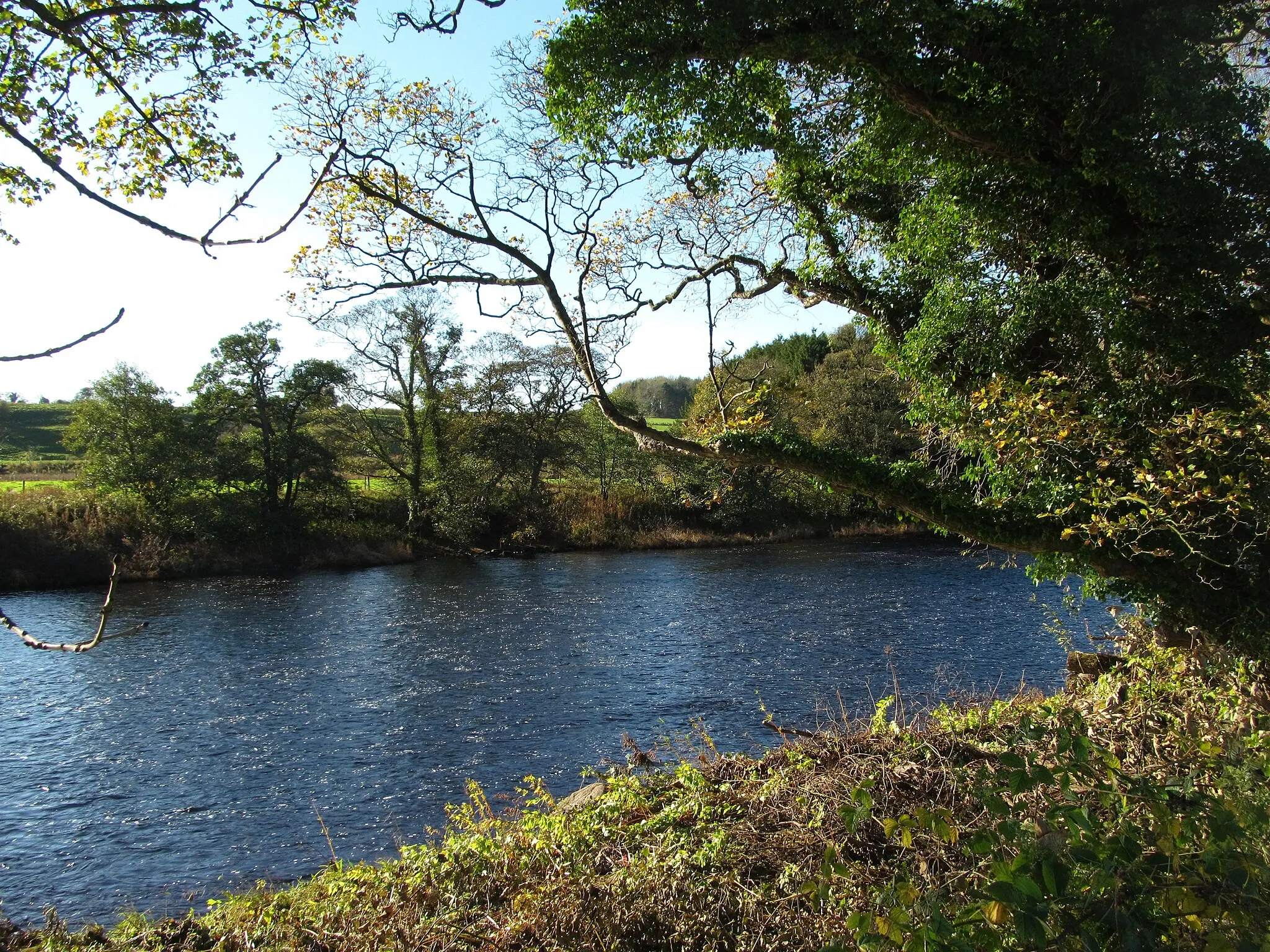 Photo showing: Across the Tees near Wood House