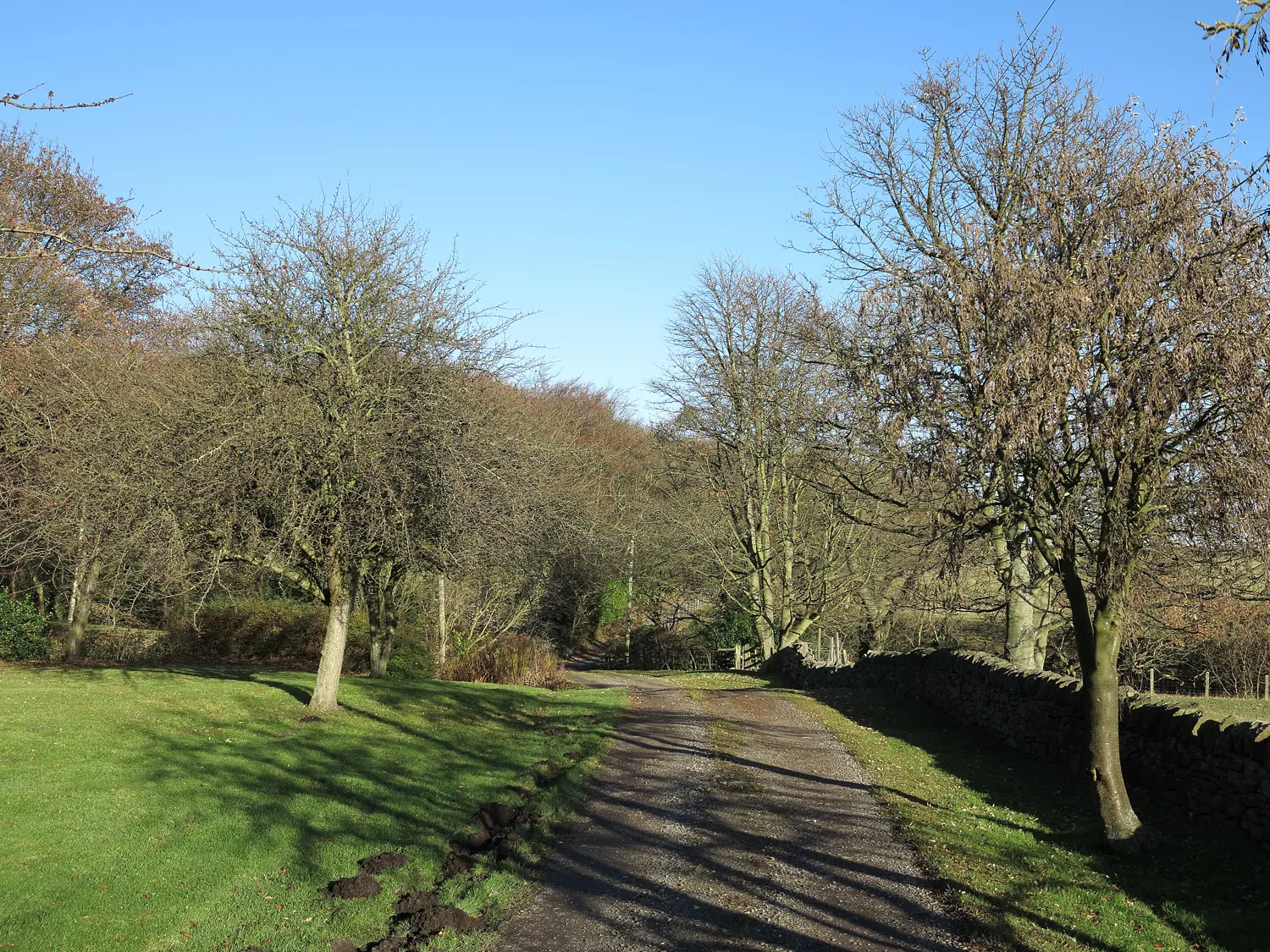 Photo showing: Access road for West Hall Cottage