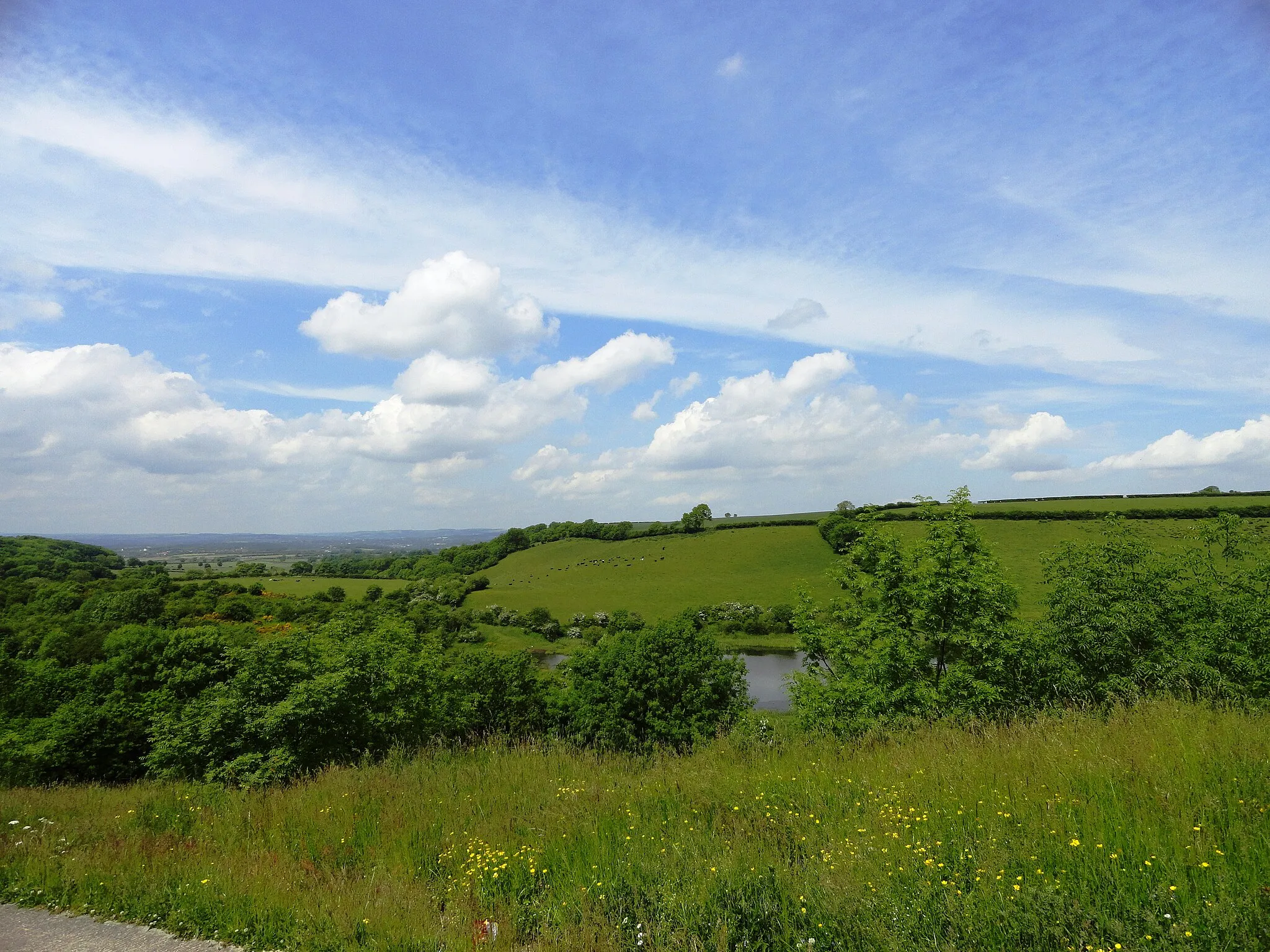 Photo showing: View over Cassop Vale