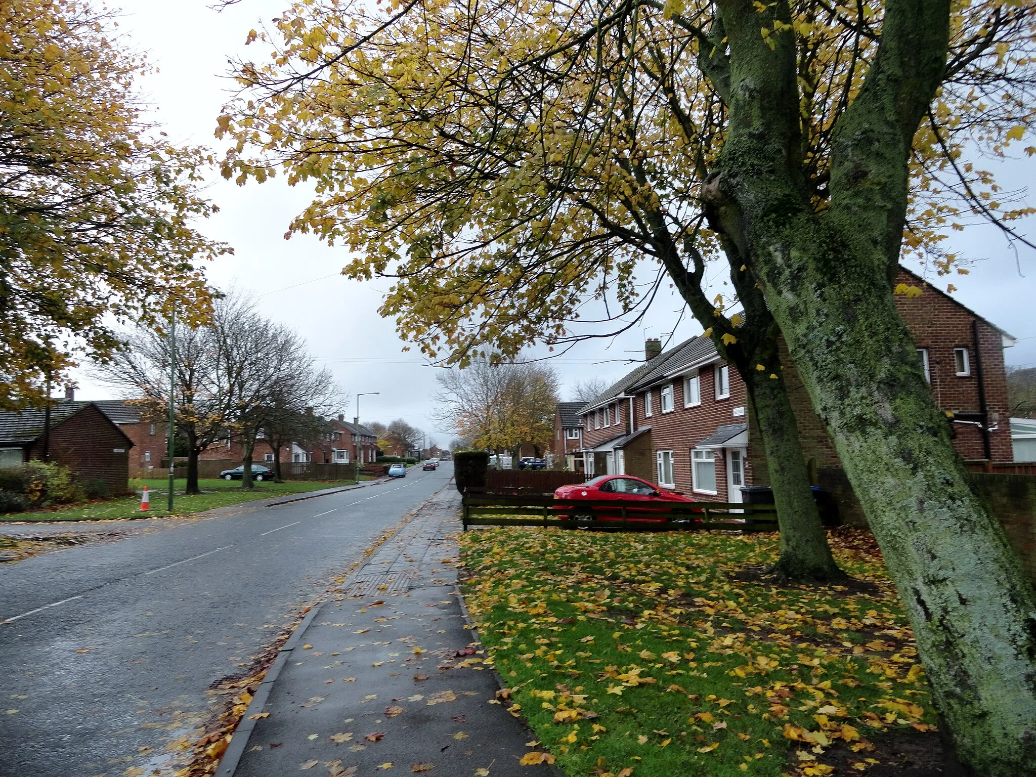 Photo showing: Bek Road, Newton Hall