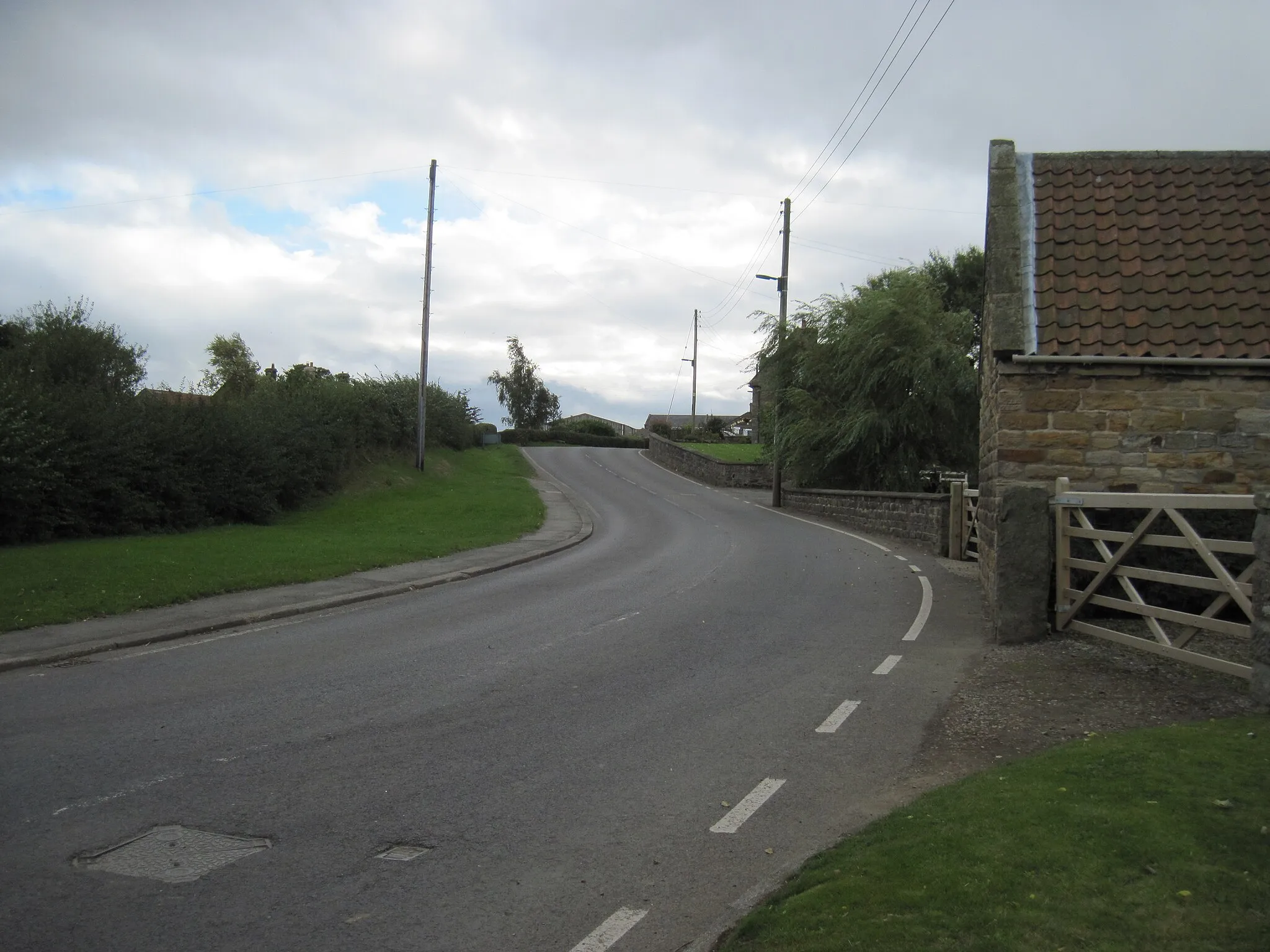 Photo showing: Liverton  village  looking  south  on  Liverton  Road