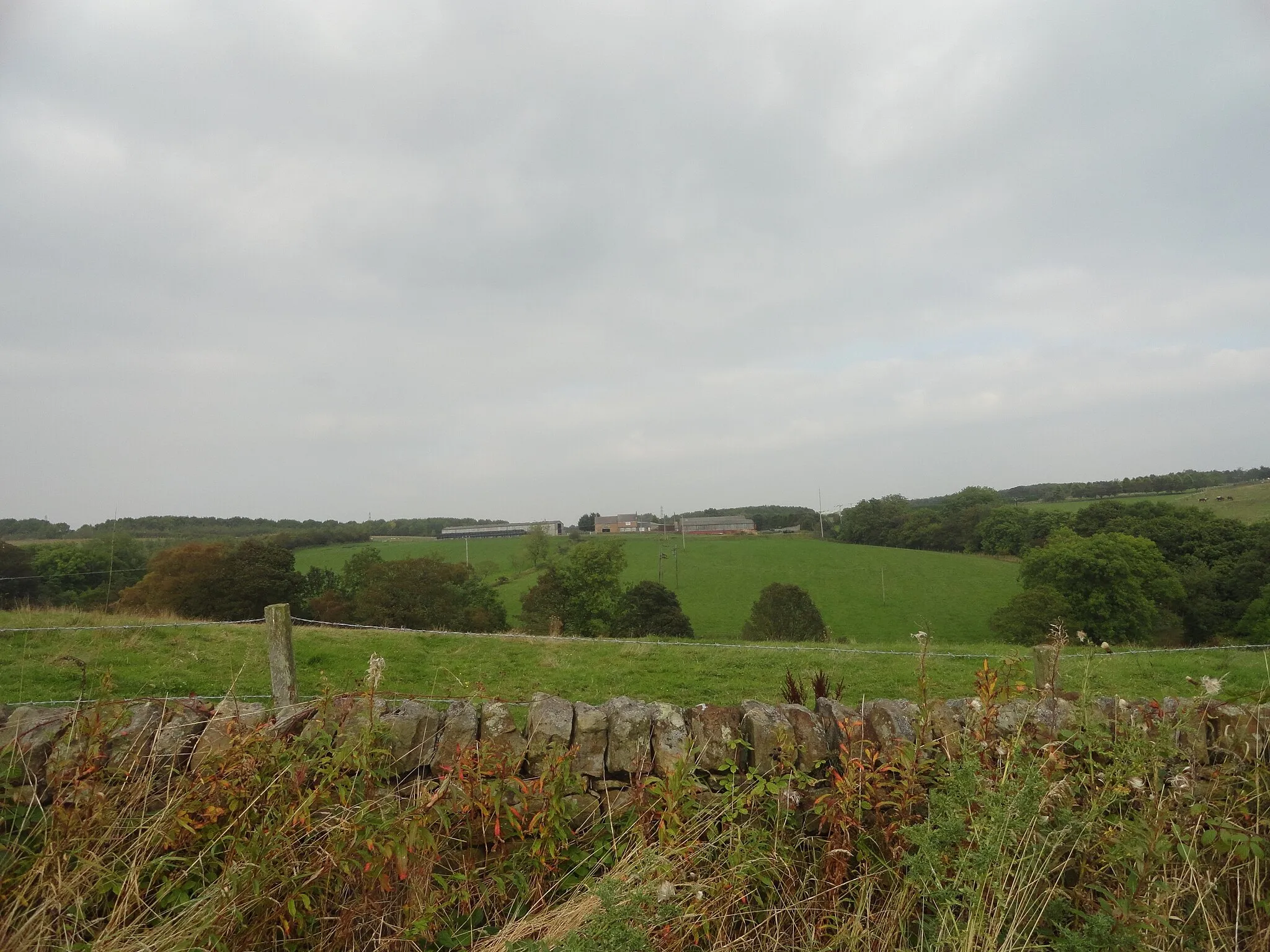 Photo showing: View of Woody Close Farm from the south