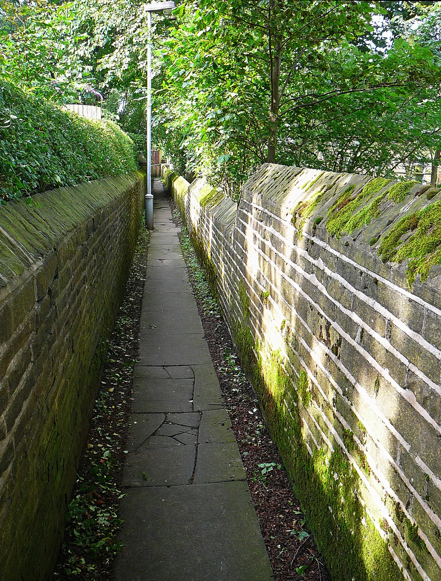 Photo showing: Ginnel by Clayton Church