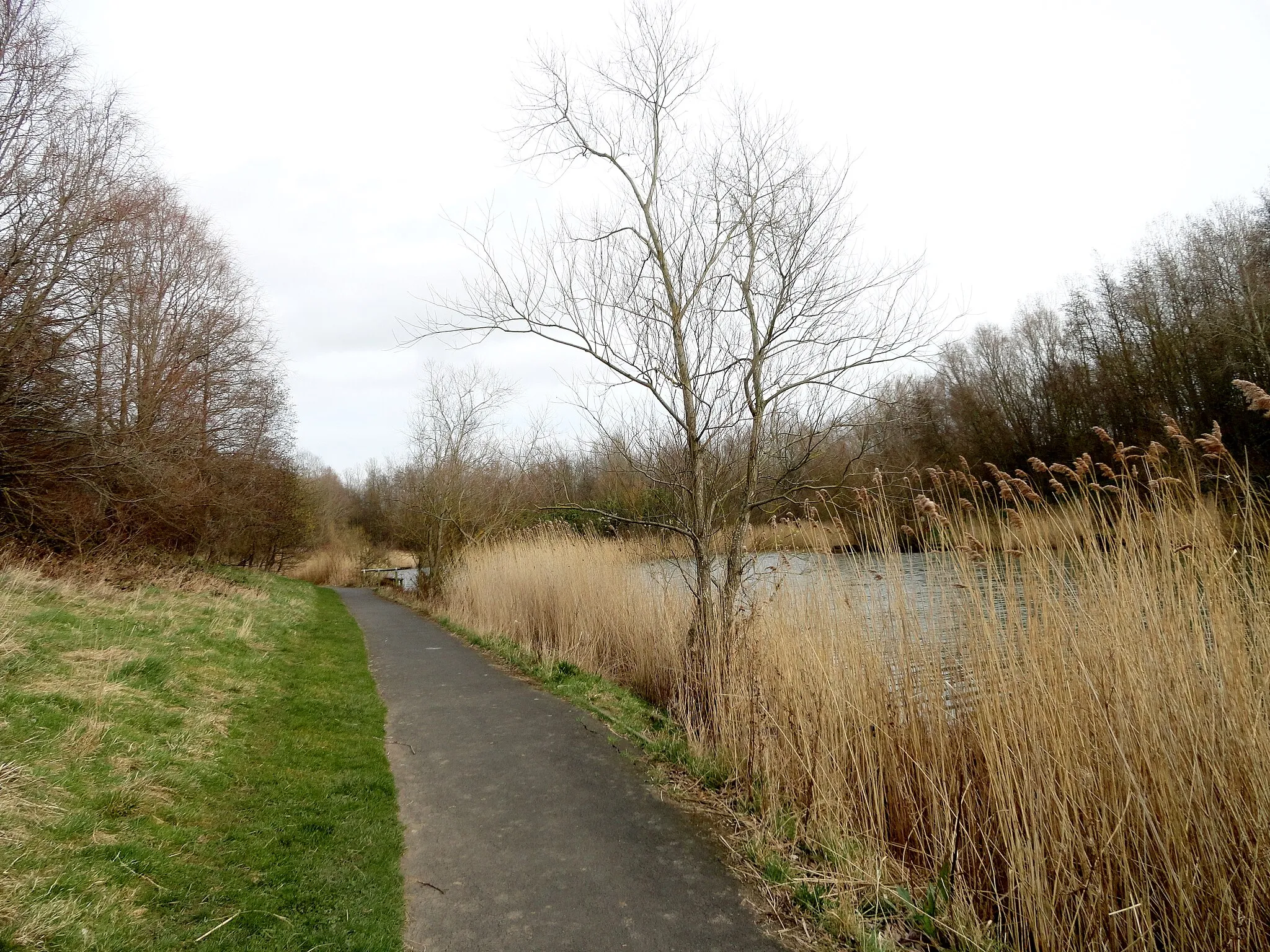 Photo showing: Path beside the lake