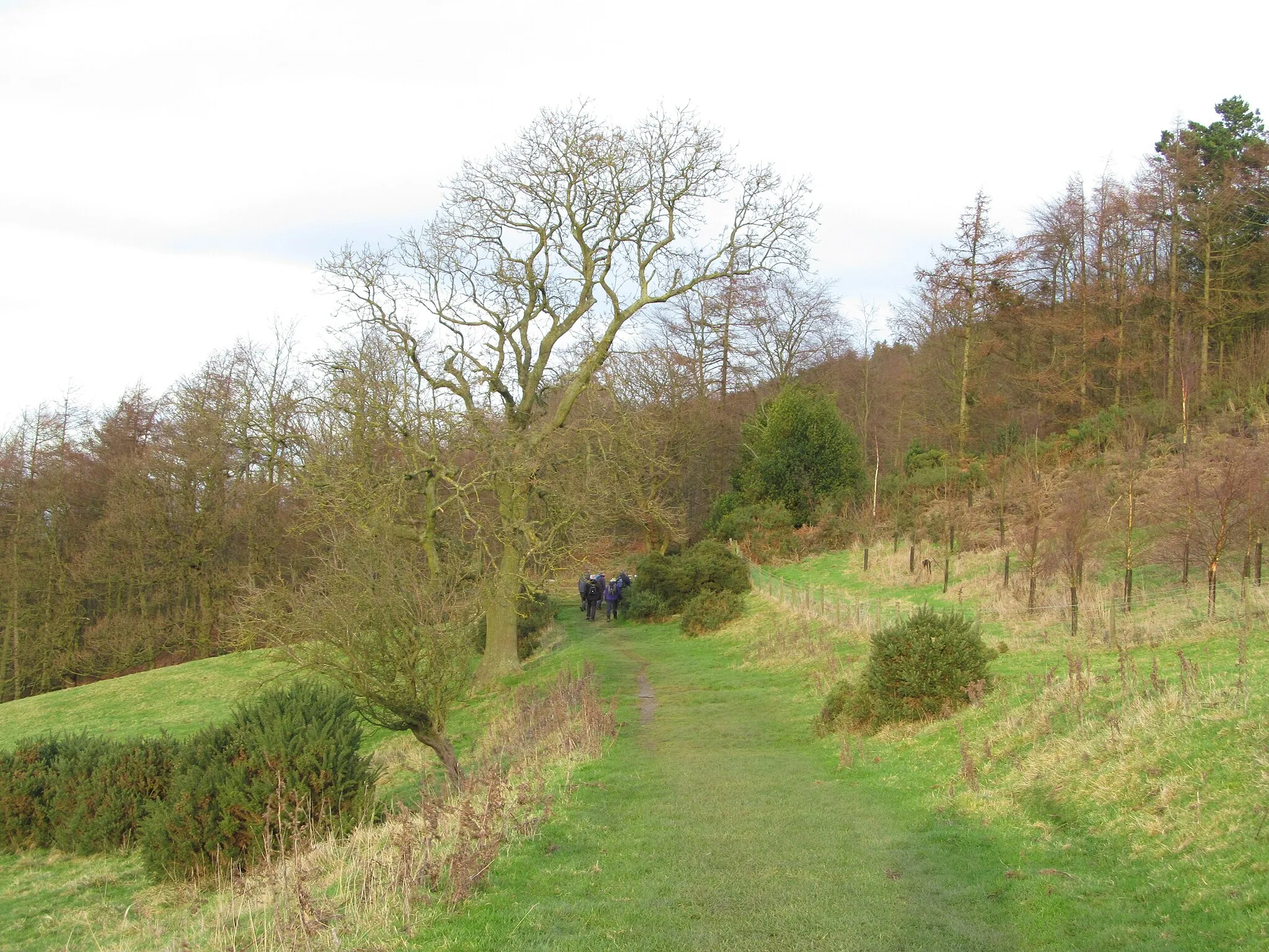Photo showing: Approaching South Wood