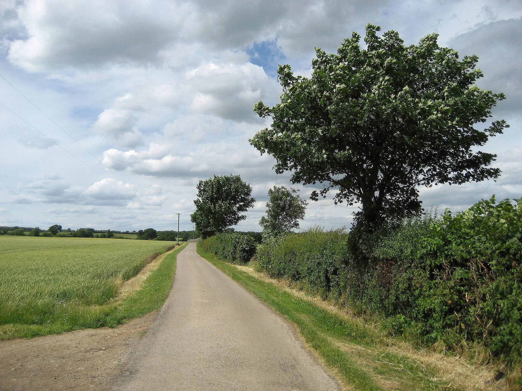 Photo showing: Access Lane leading North towards Low Dinsdale