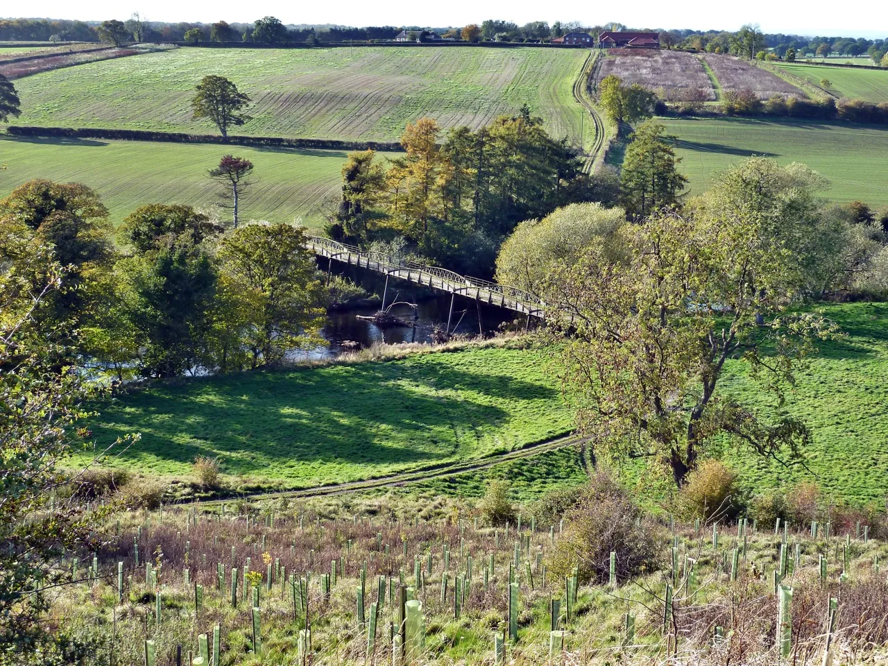 Photo showing: Bridge over River Tees, Girsby