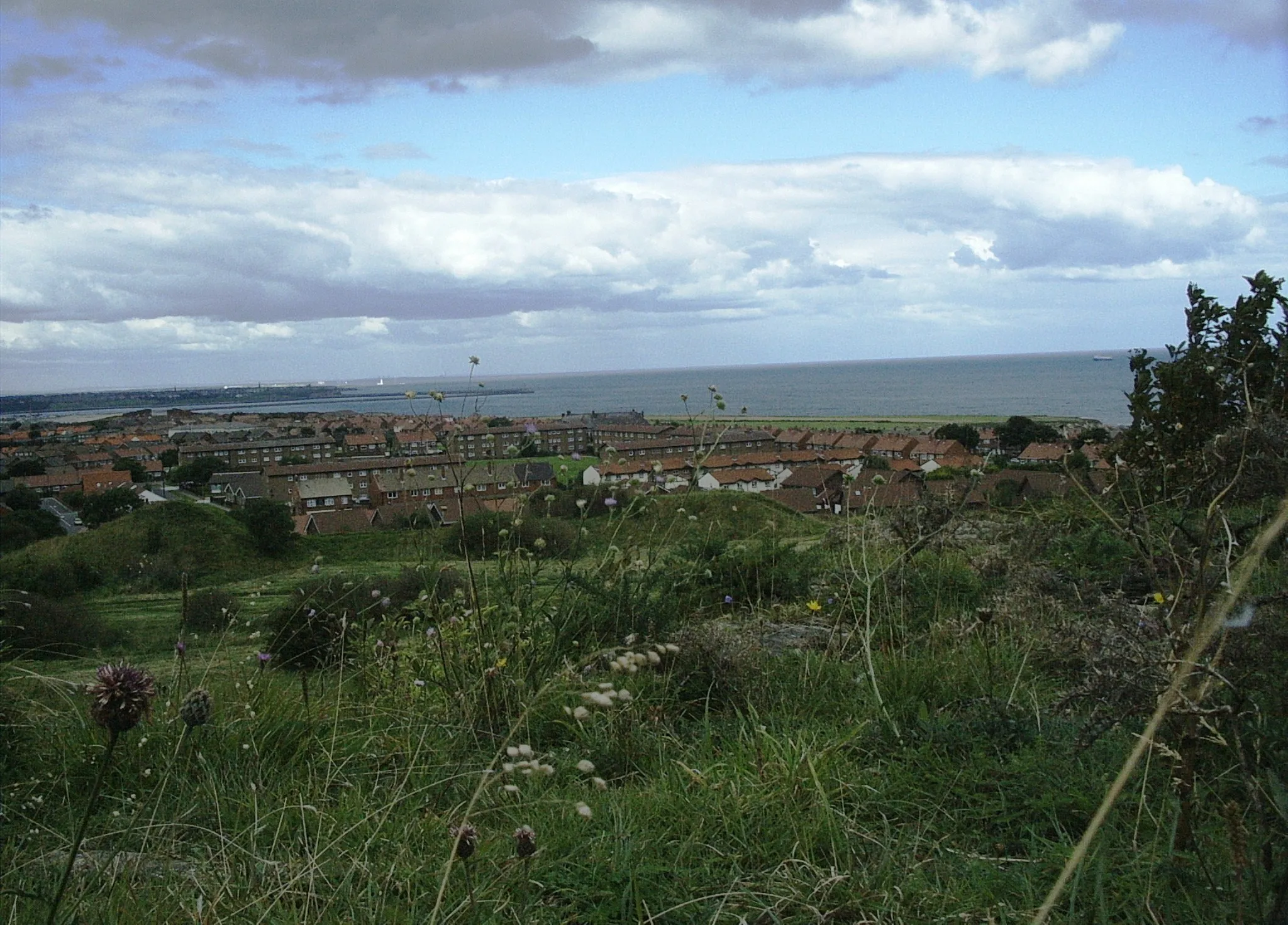 Photo showing: Looking north from Marsden Quarry