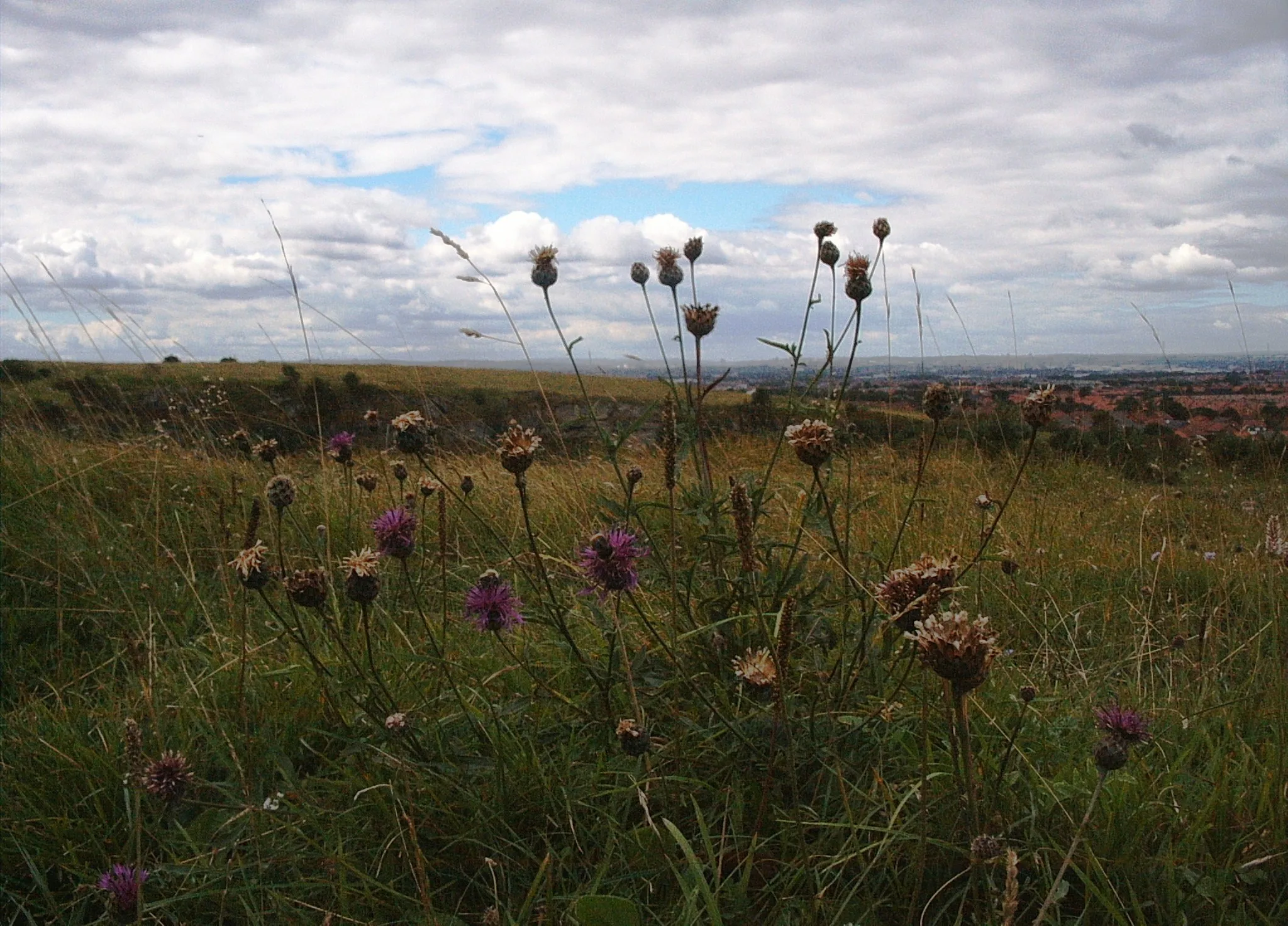 Photo showing: The Old Quarry at Marsden