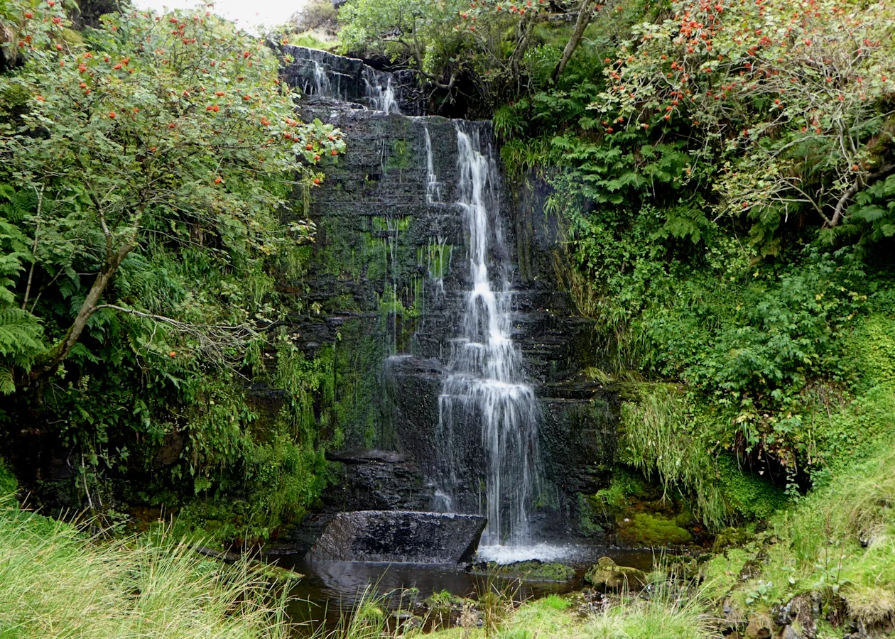 Photo showing: Huggill Force