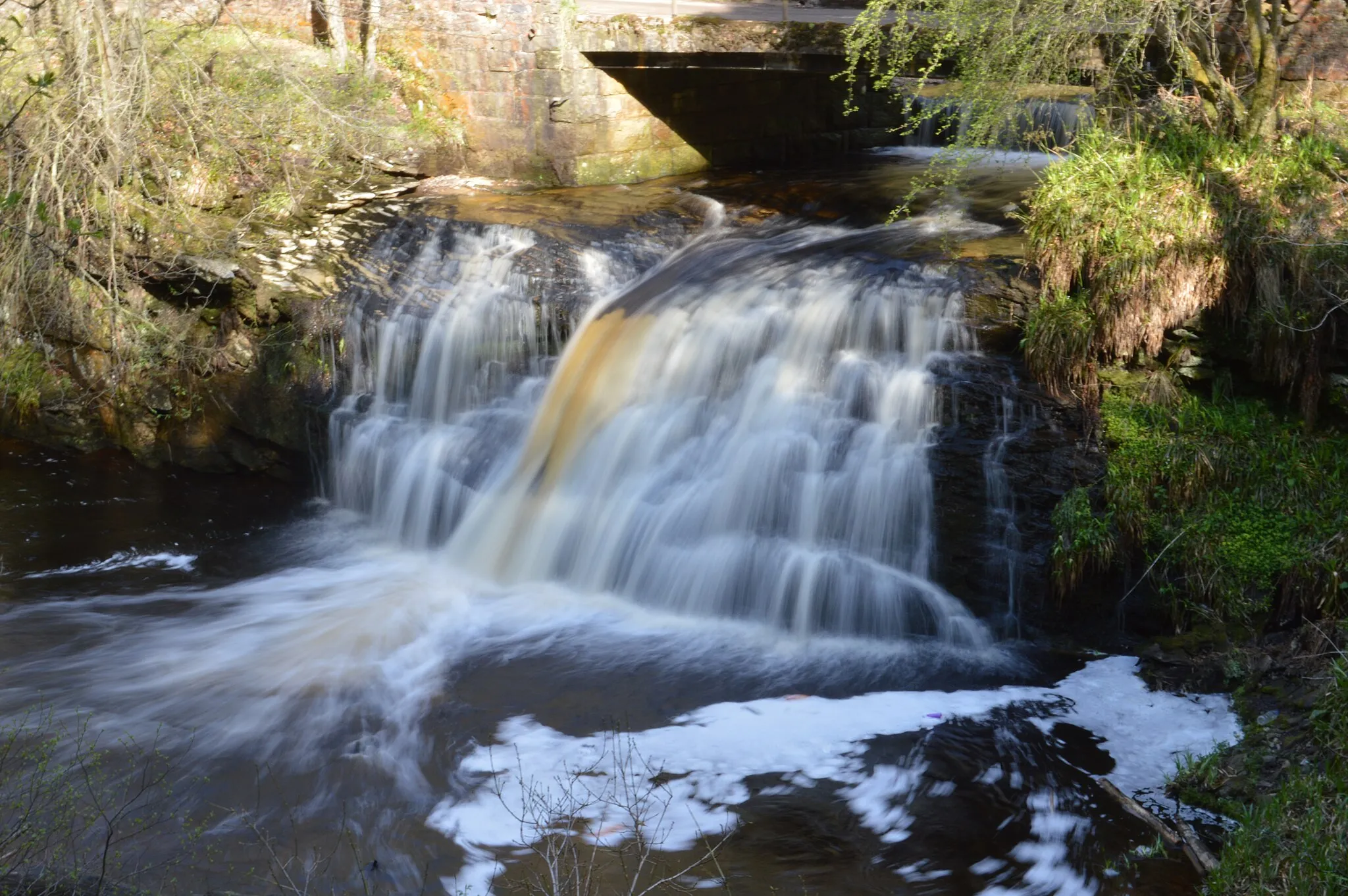 Photo showing: Waterfall in Hamsterley Forest,  2013