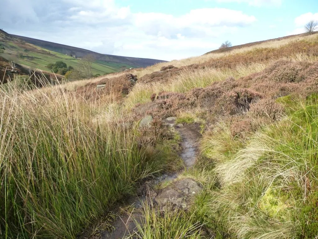 Photo showing: A minor boggy patch on the Esk Valley Way