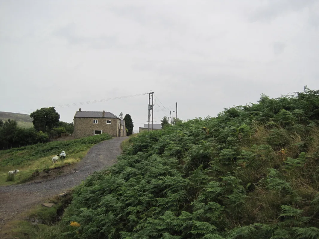 Photo showing: Whitfield Brow