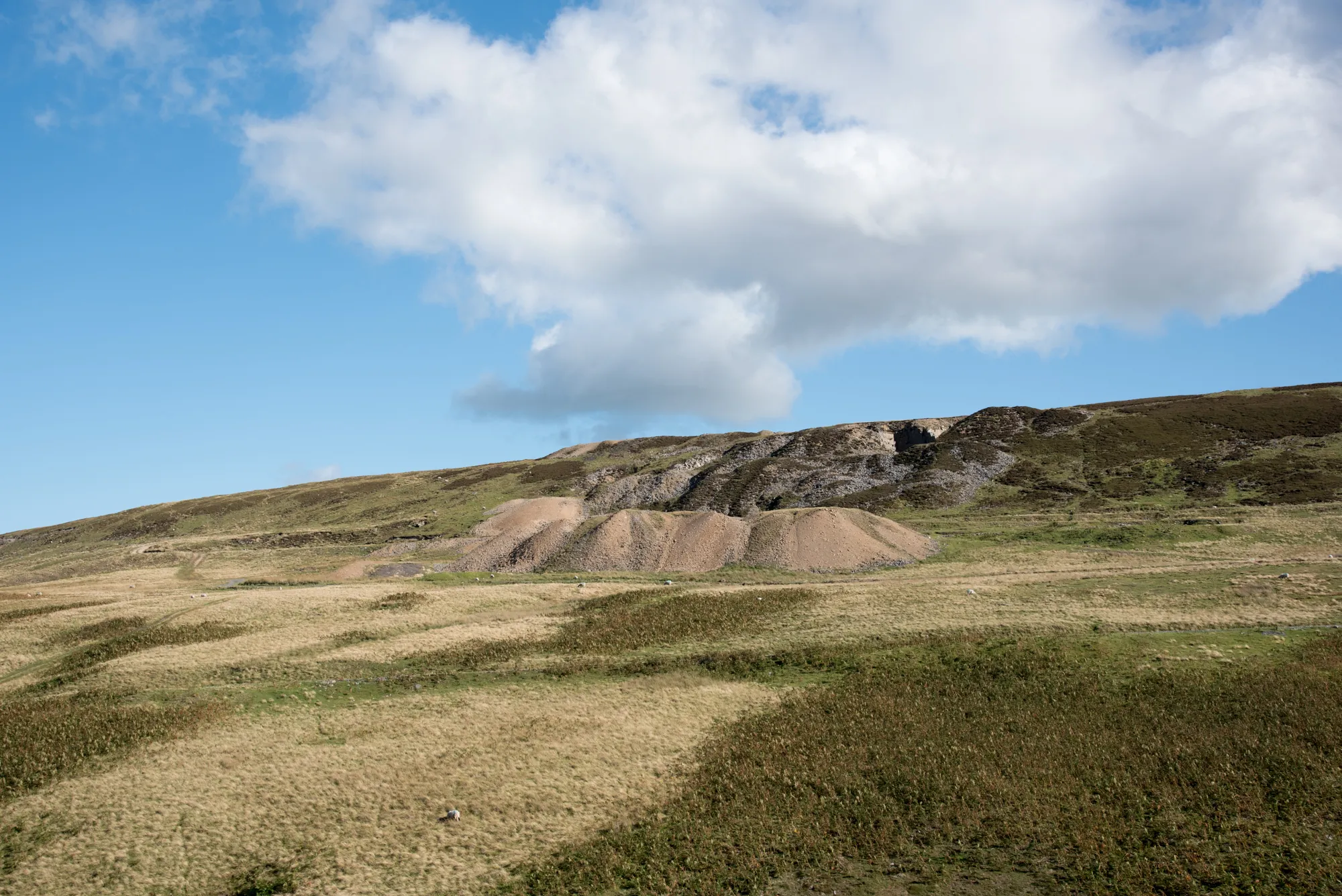 Photo showing: Mine site at Whitfield Brow. The mine site as viewed across the Howden Burn. Obvious mining disturbance of the ground on the steep slope at Whitfield Brow with extensive spoil heaps below.