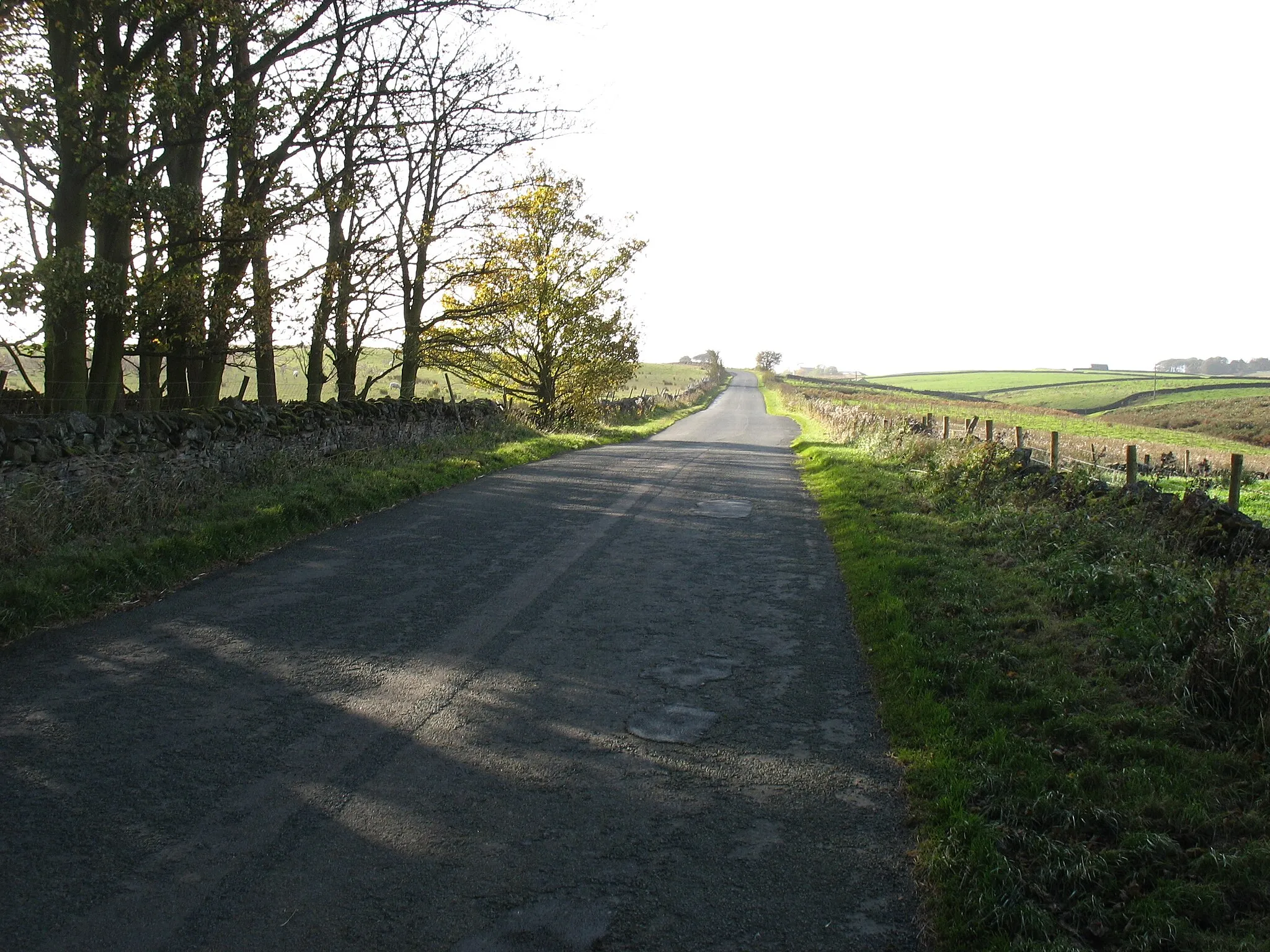 Photo showing: The road to Baldersdale
