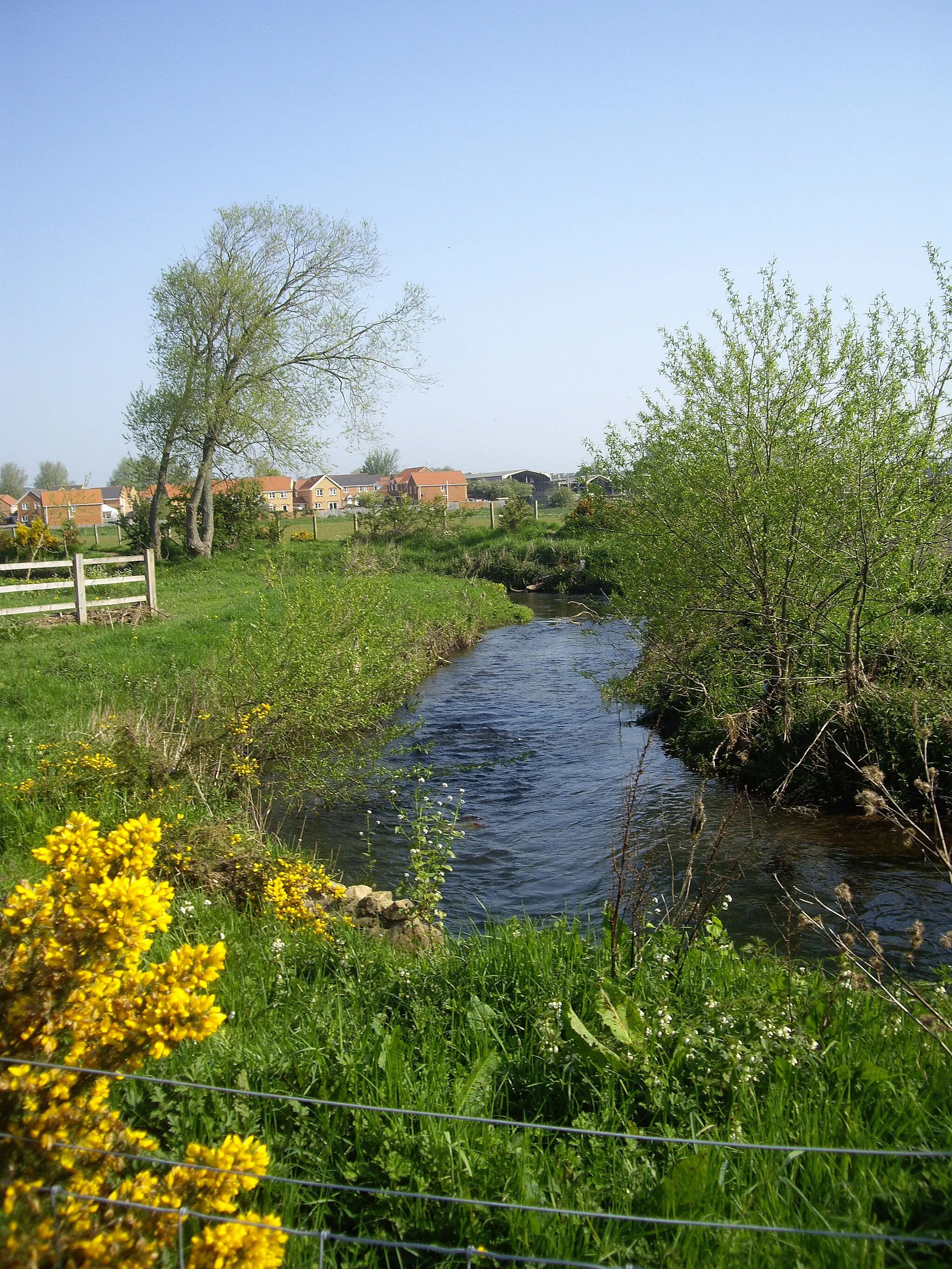 Photo showing: An upstream reach of the River Gaunless