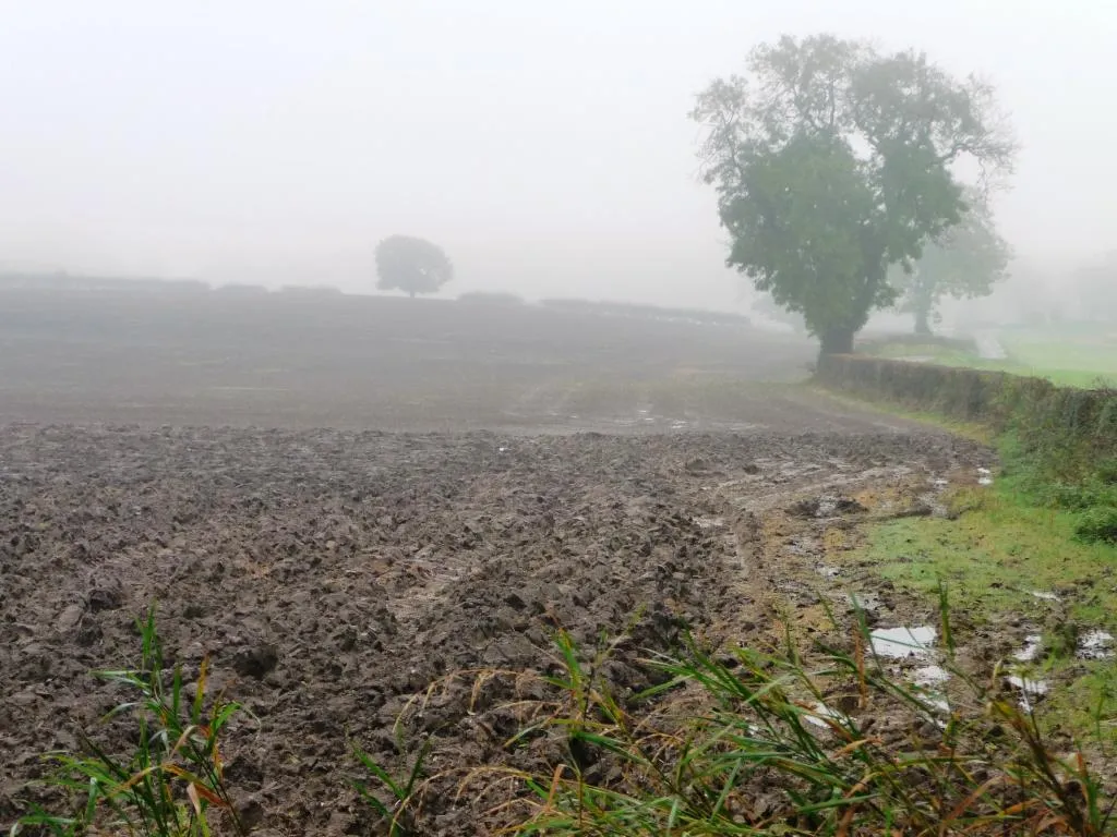 Photo showing: Corner of a recently-ploughed field