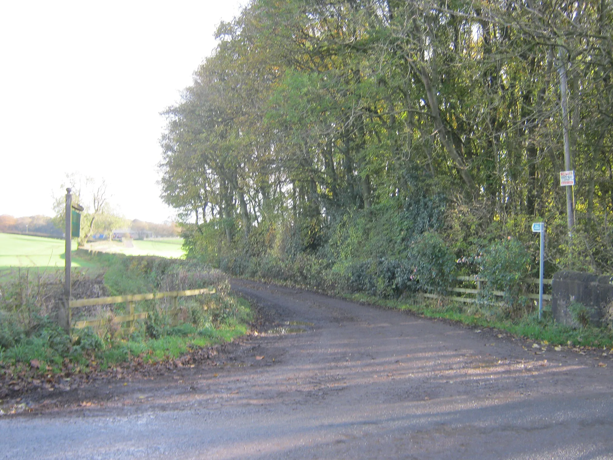 Photo showing: Drive to Windlestone Grange carrying a public footpath there and beyond