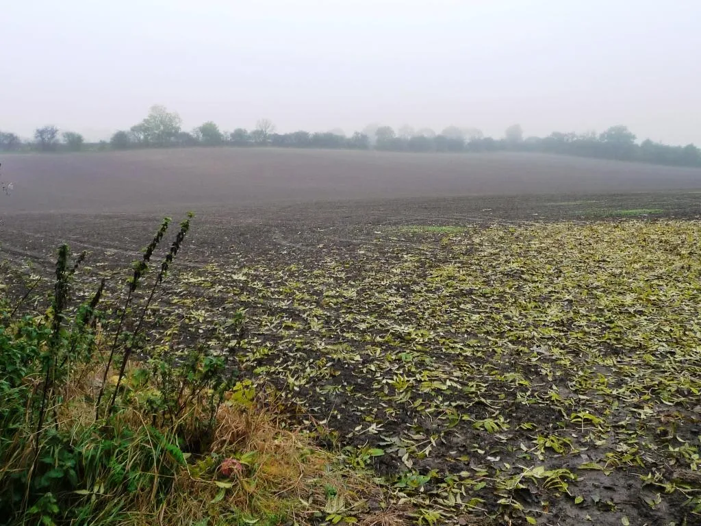 Photo showing: Arable field with a dip across the middle