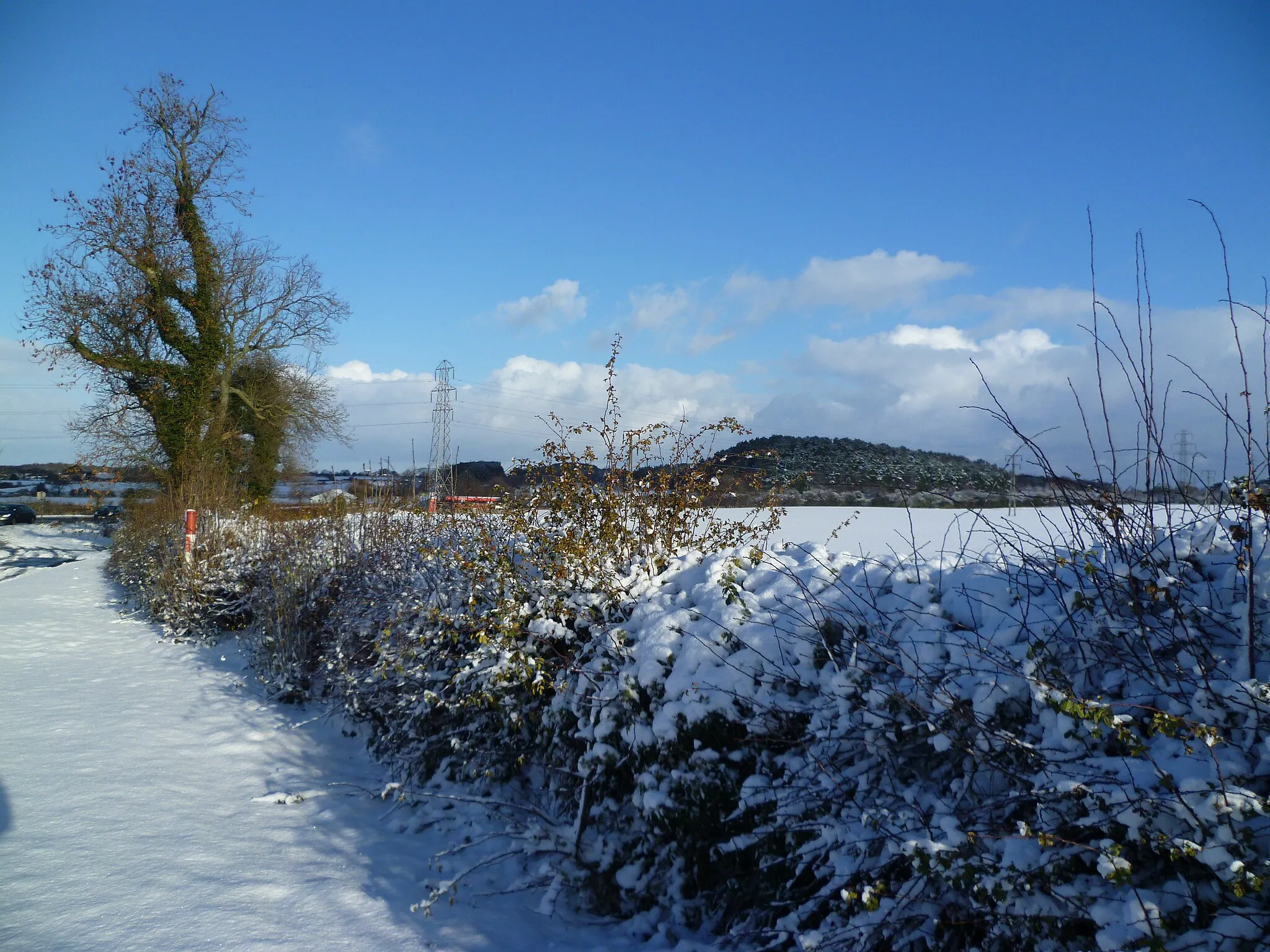 Photo showing: Snowy Hedgerow