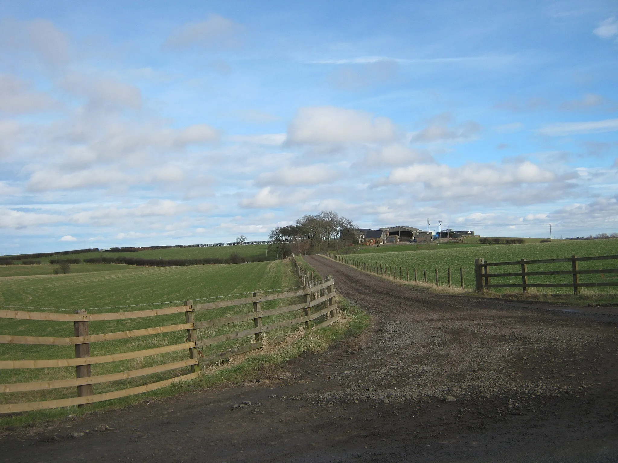 Photo showing: Drive to Broad Lea Farm
