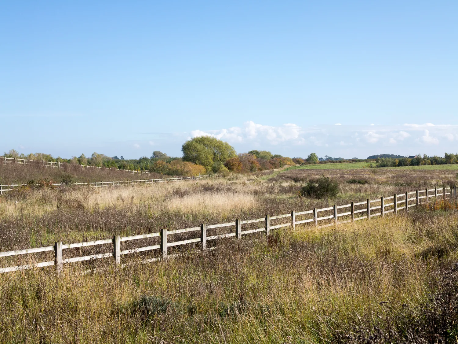 Photo showing: Access land beside old railway route