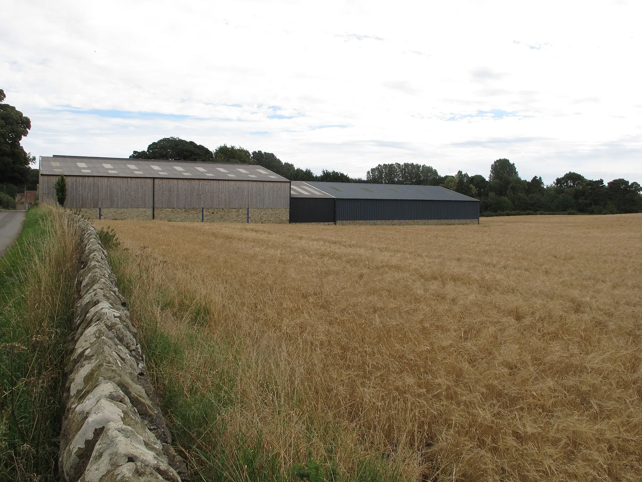Photo showing: Barley at Westholme Hall