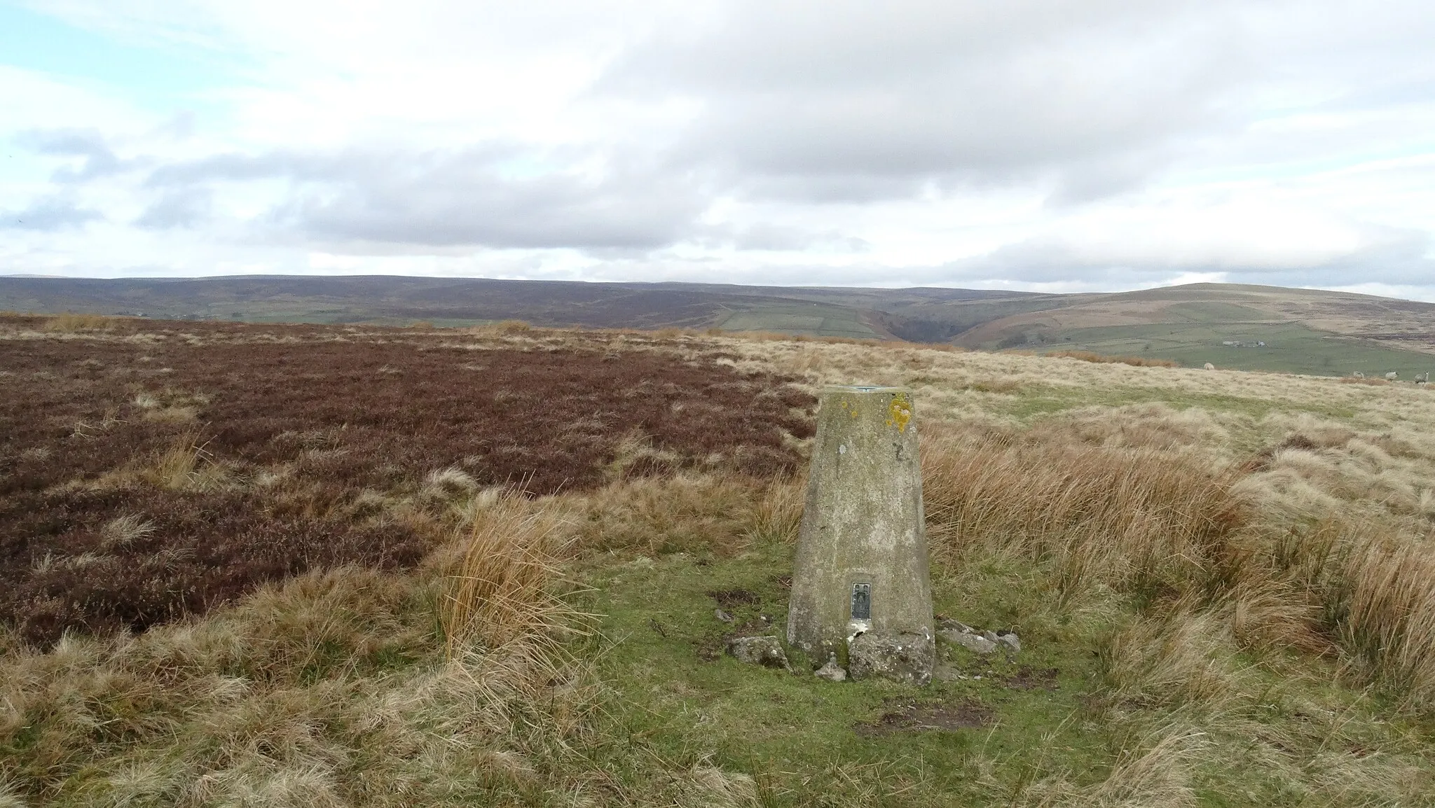 Photo showing: Trig point on Skelton Moor near Marske