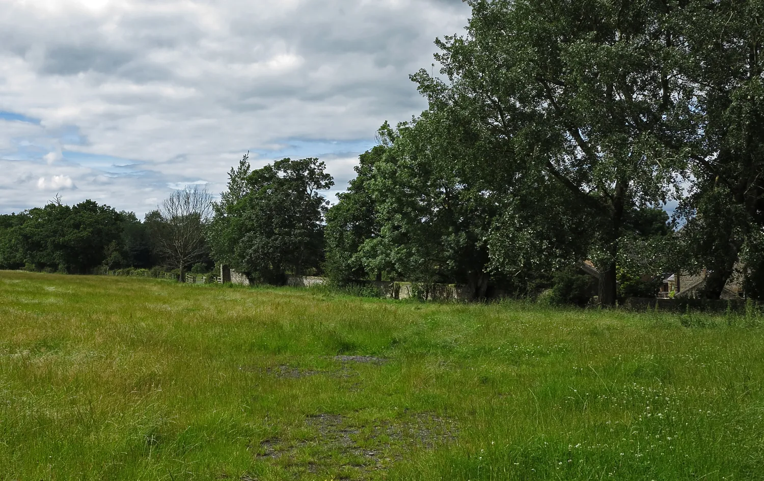 Photo showing: Field near Howden-le-Wear