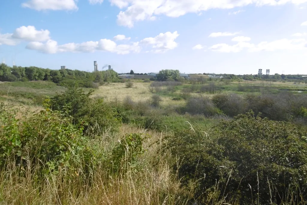 Photo showing: Portrack Marshes