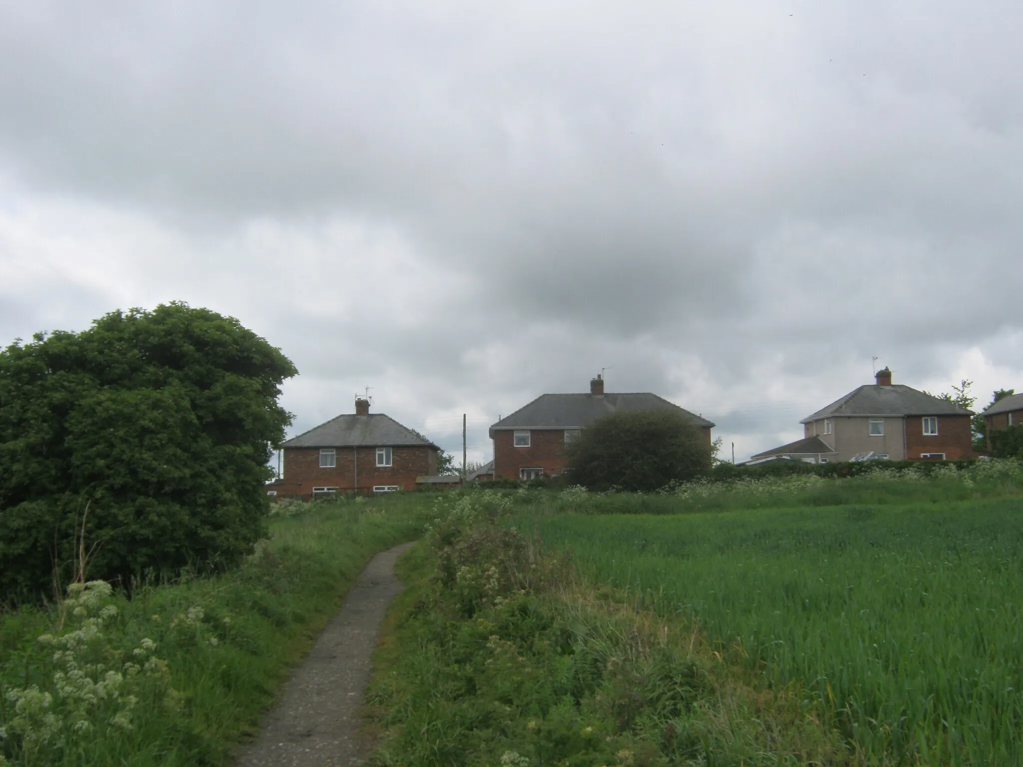 Photo showing: Footpath from Quarrington Hill to enter Kelloe