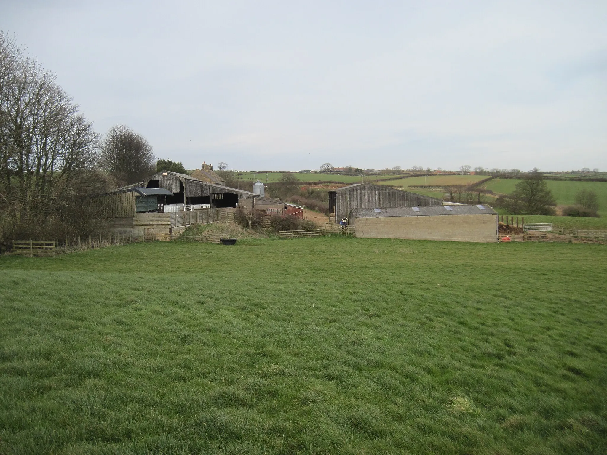 Photo showing: Bog  House  Farm  from  footpath  to  Mickleby