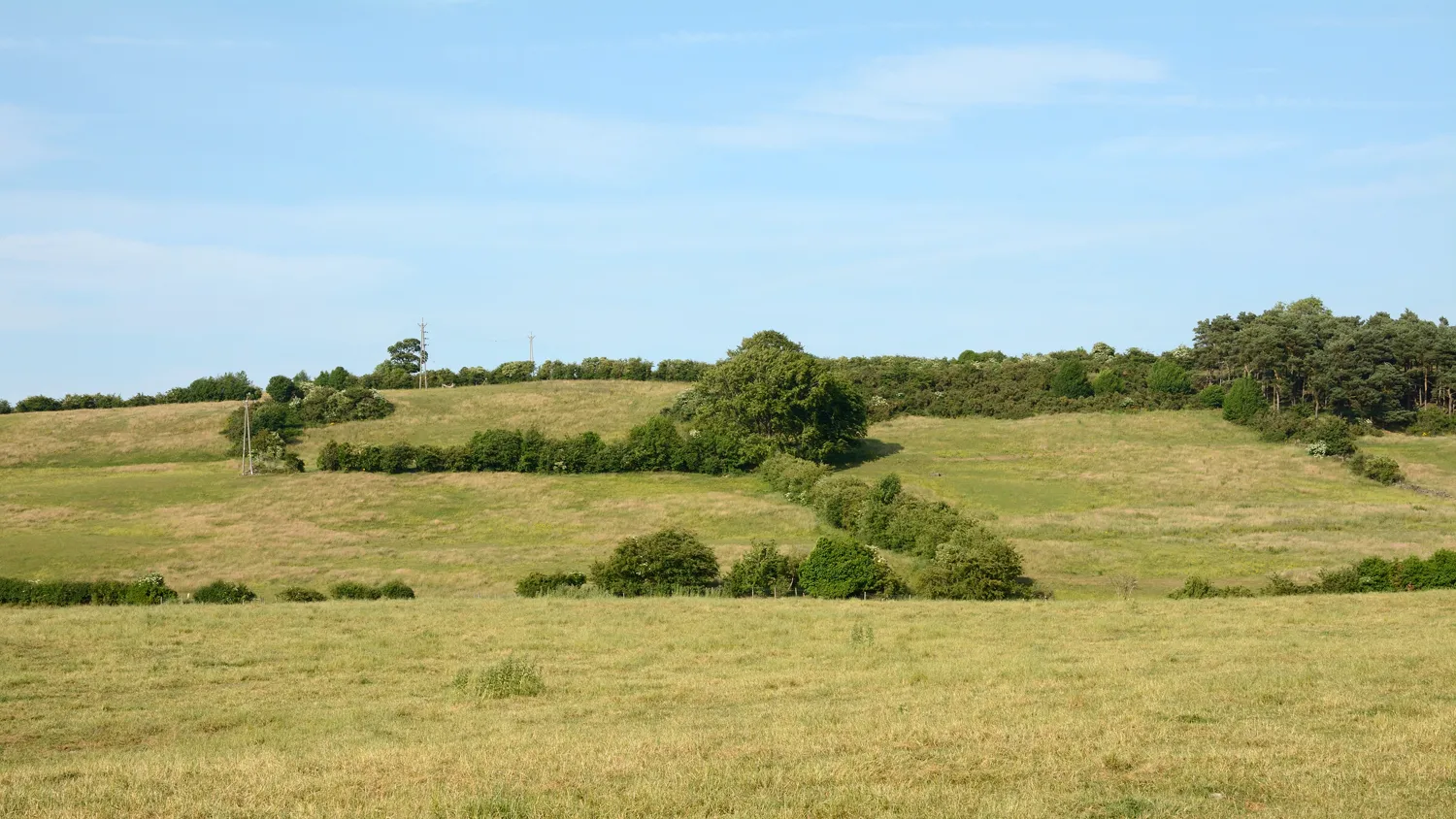 Photo showing: Fields north of Ramshaw