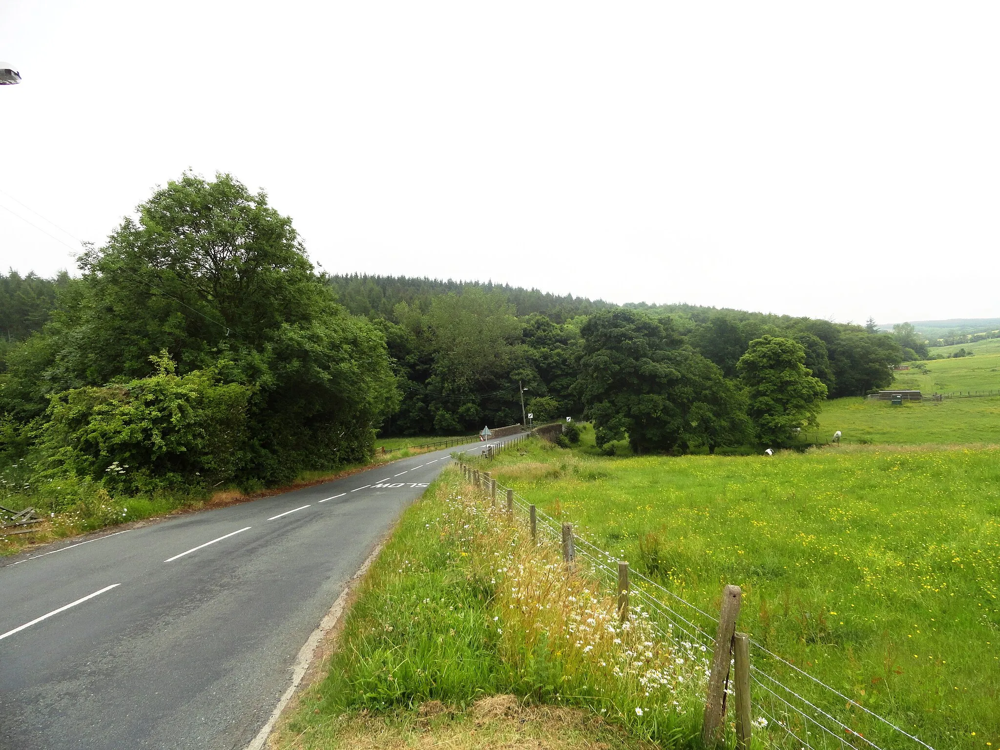 Photo showing: Road south from Waterhouses